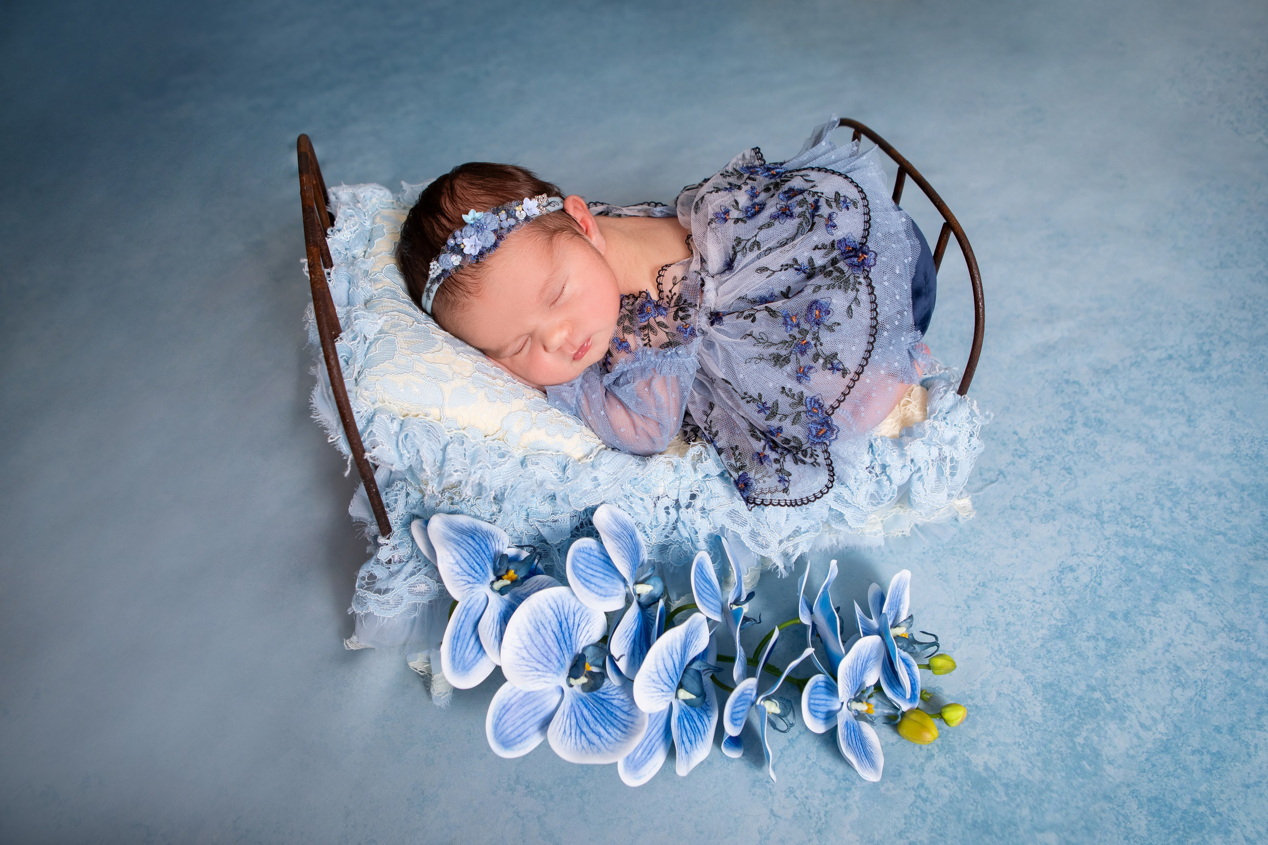 Злата. Сімейний та Весільний  фотограф Ірина Онищенко