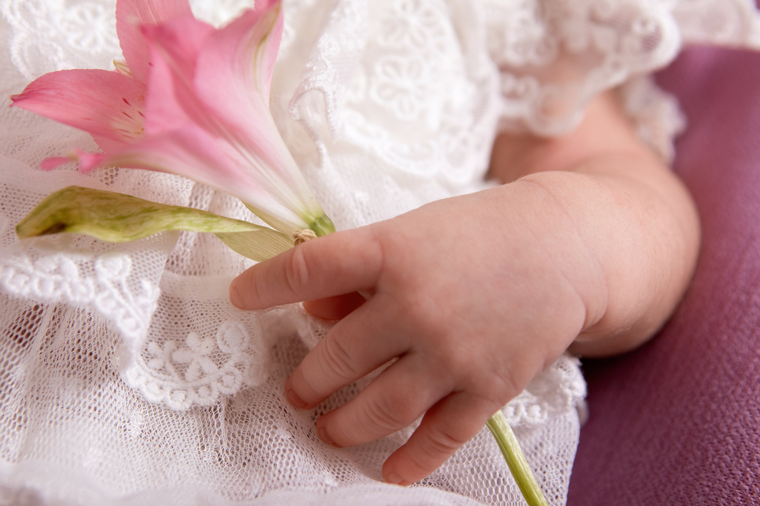 Злата. Сімейний та Весільний  фотограф Ірина Онищенко