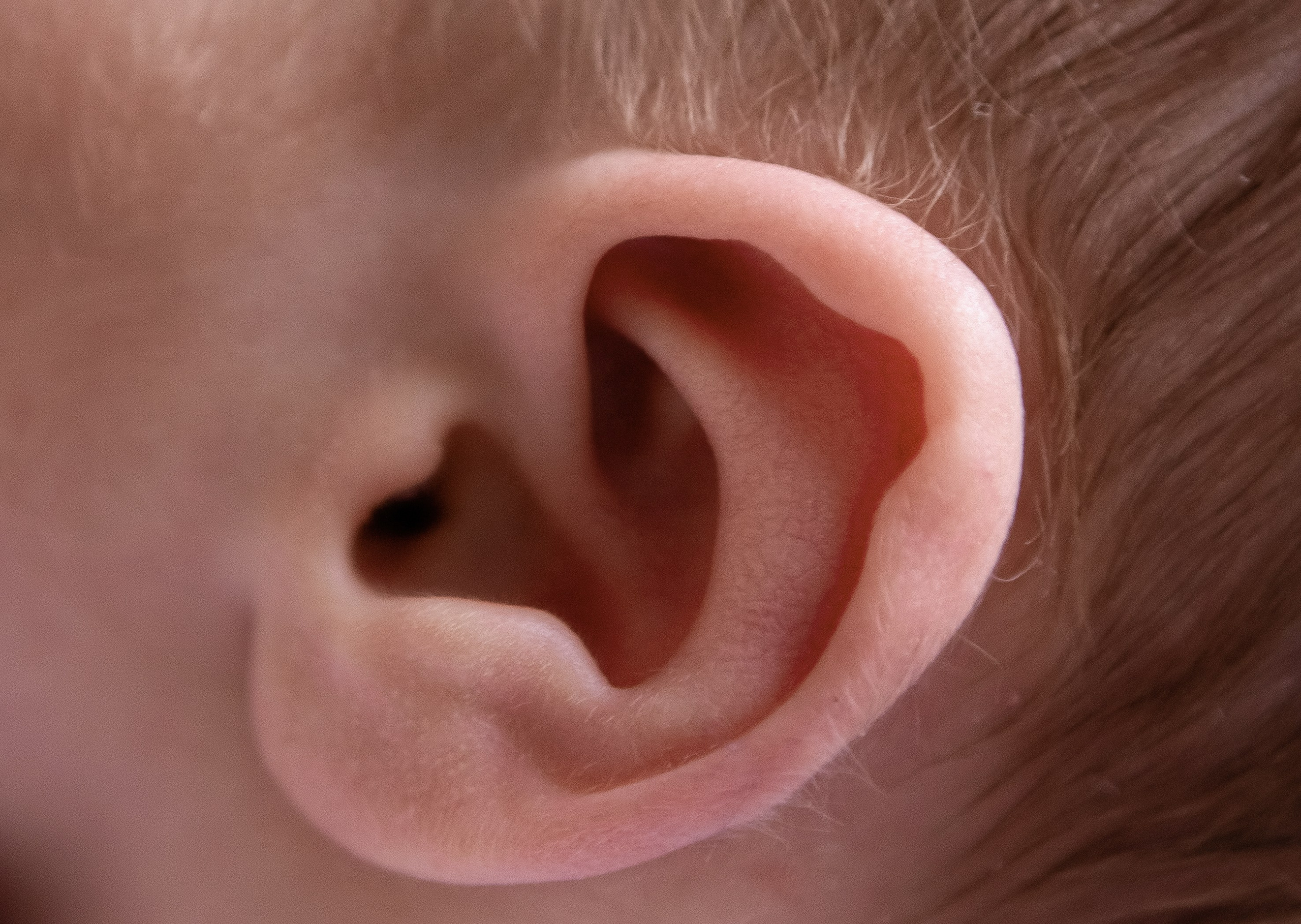 Ілай. Сімейний та Весільний  фотограф Ірина Онищенко