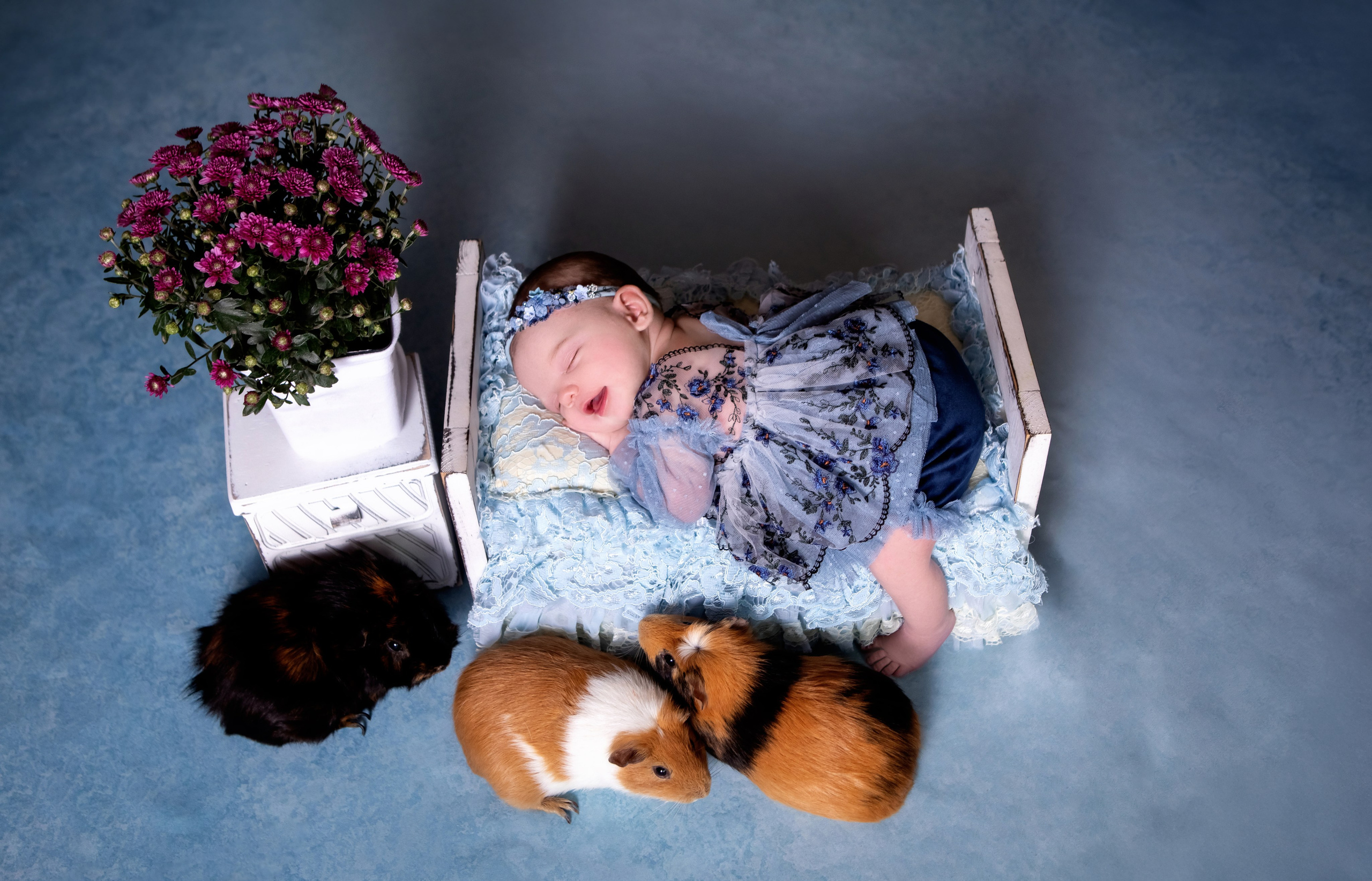 Верочка. Сімейний та Весільний  фотограф Ірина Онищенко