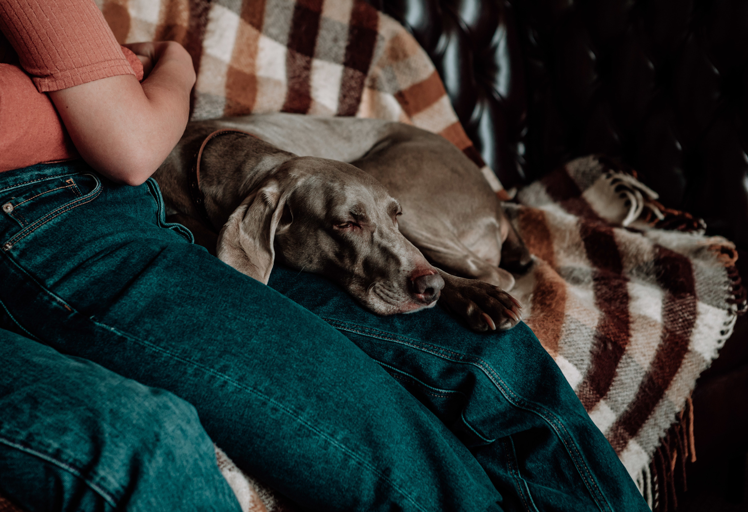 Эмоция. Сімейний та Весільний  фотограф Ірина Онищенко