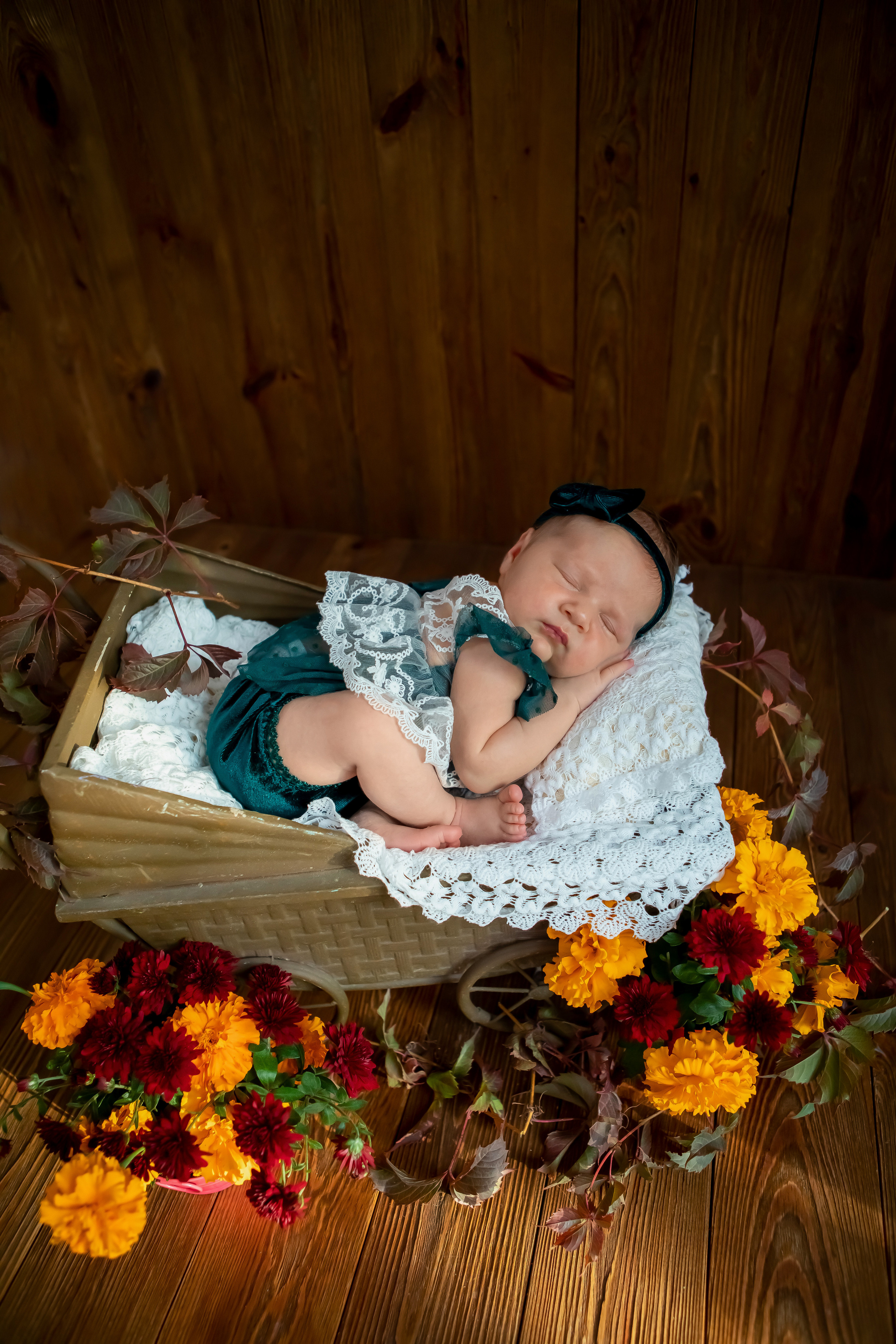 Евеліна. Сімейний та Весільний  фотограф Ірина Онищенко