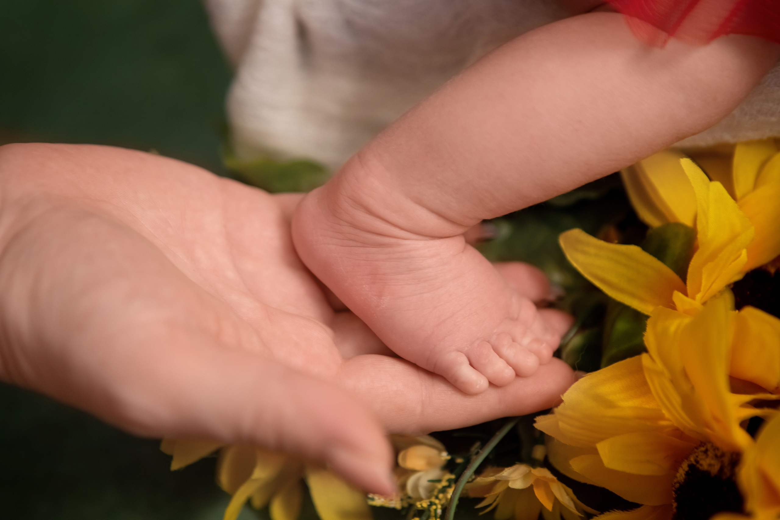 Кіра. Сімейний та Весільний  фотограф Ірина Онищенко