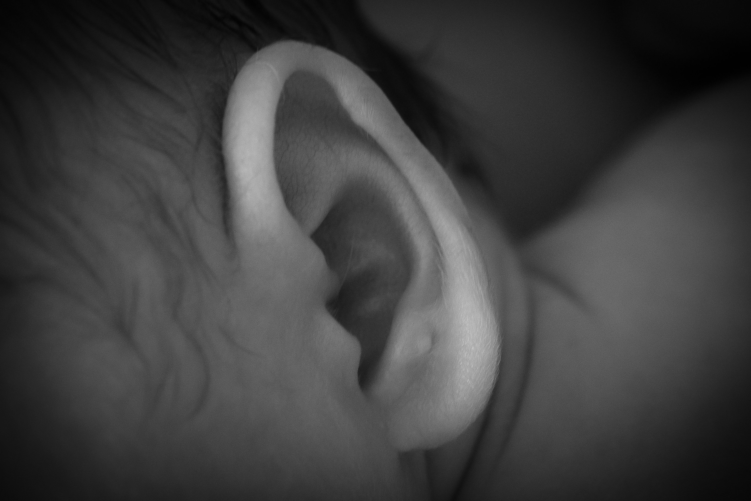 Дамір. Сімейний та Весільний  фотограф Ірина Онищенко