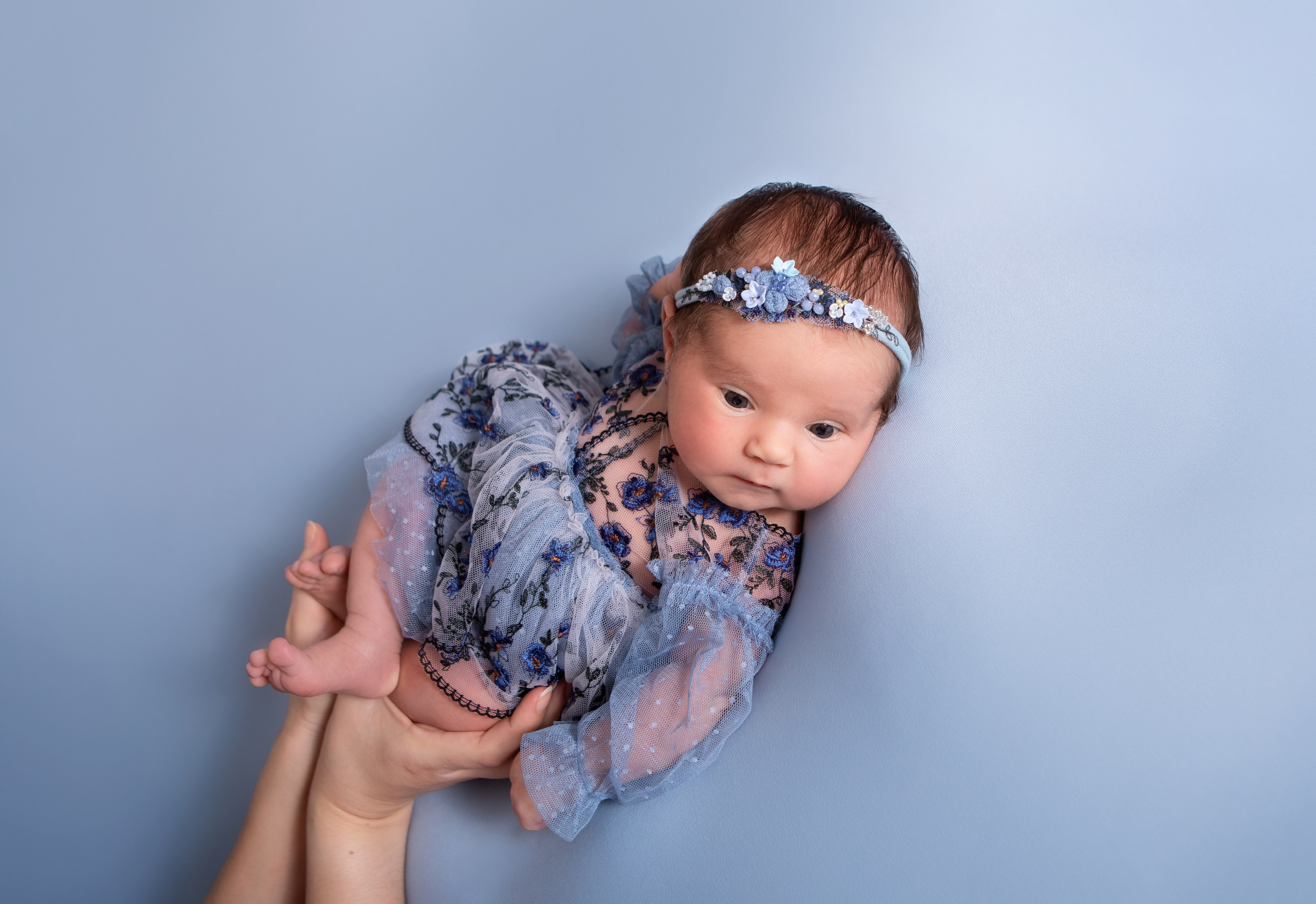 Злата. Сімейний та Весільний  фотограф Ірина Онищенко