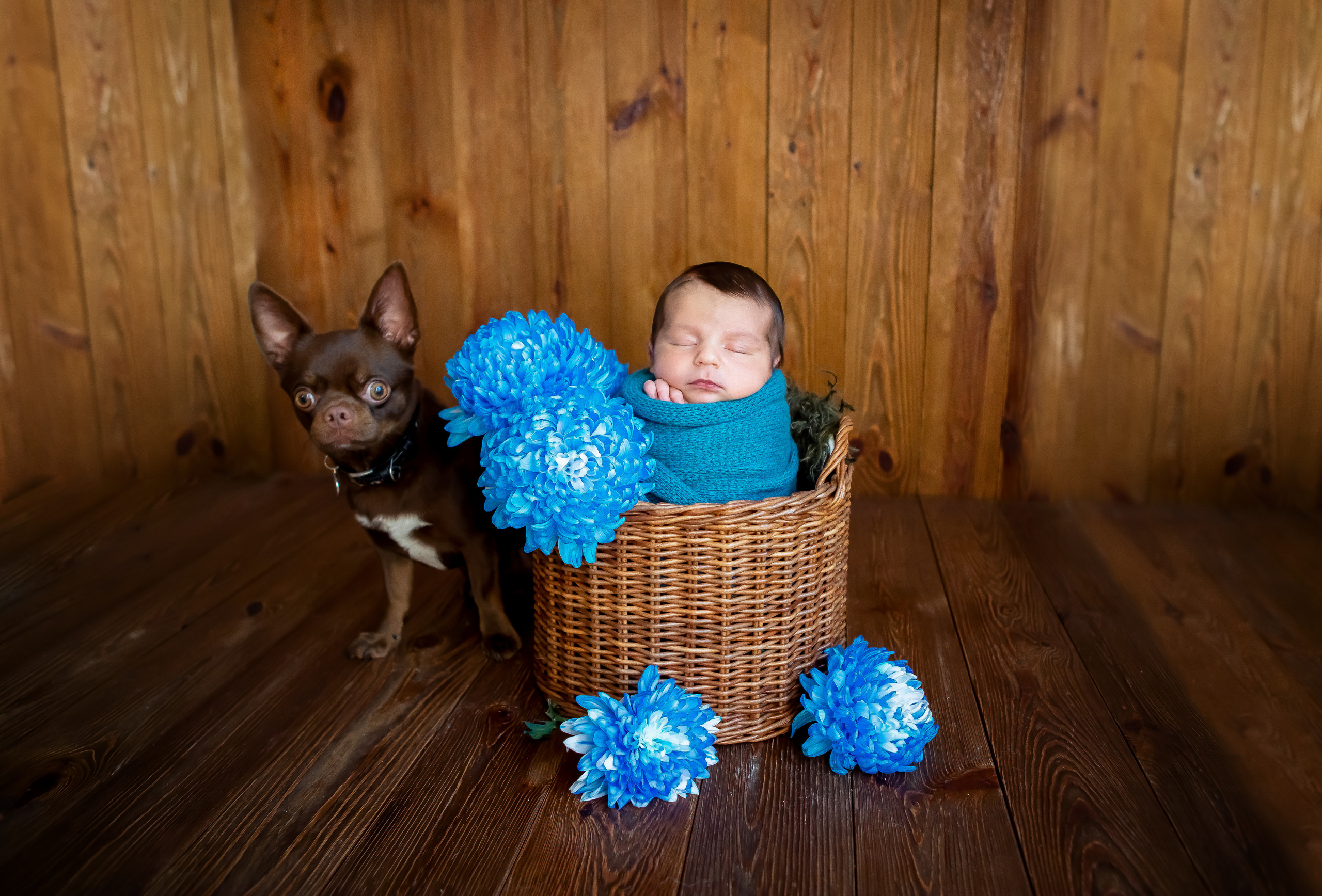Семен. Сімейний та Весільний  фотограф Ірина Онищенко