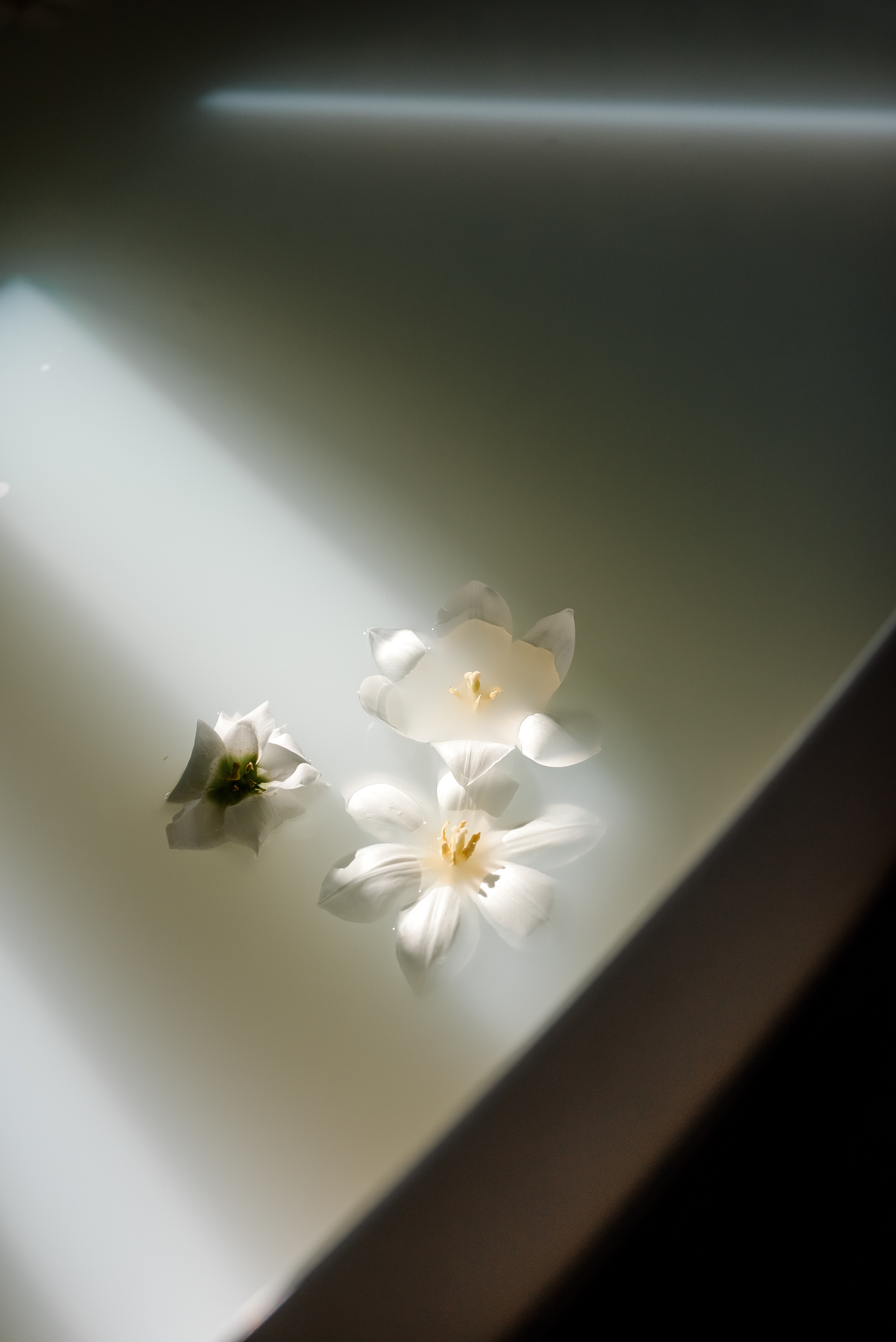 Італія. Сімейний та Весільний  фотограф Ірина Онищенко