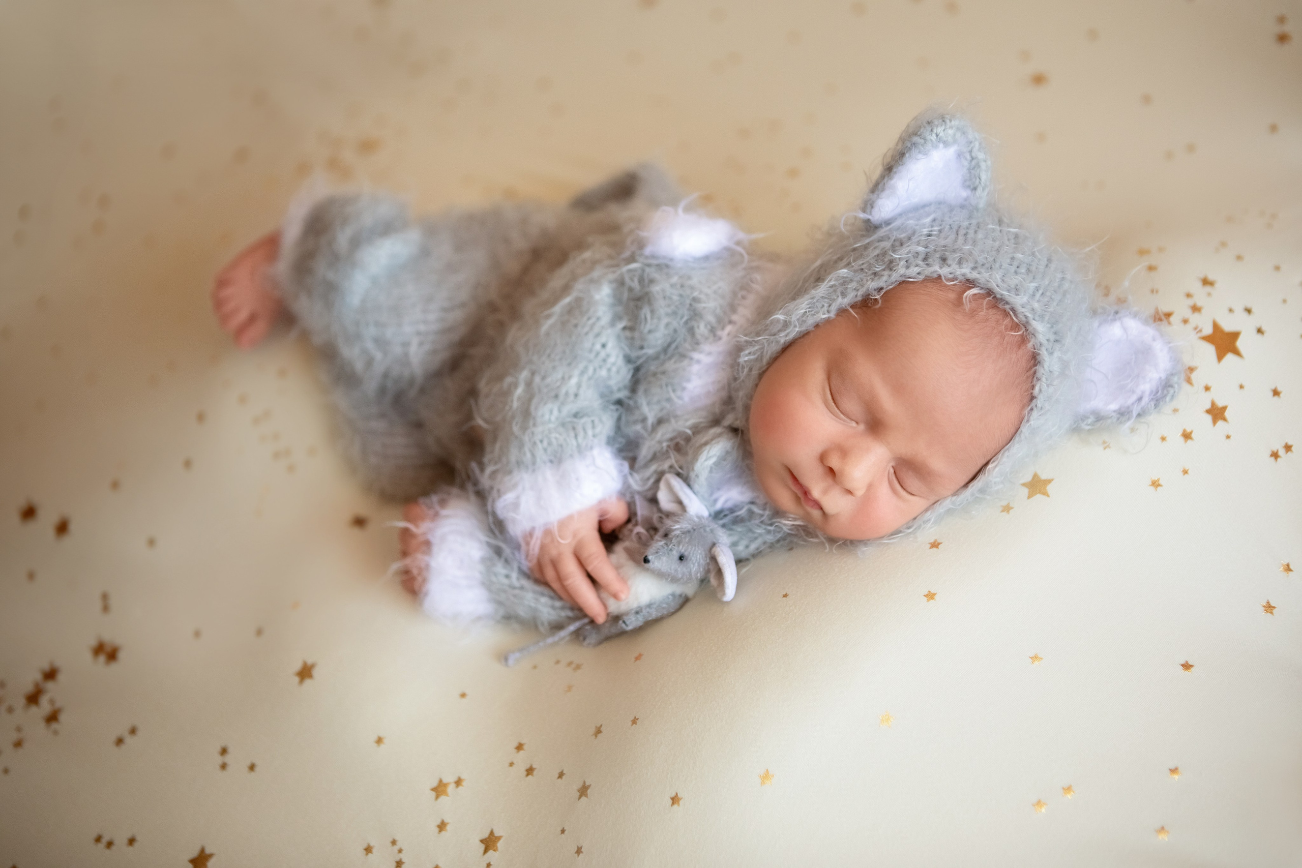 Лев. Сімейний та Весільний  фотограф Ірина Онищенко