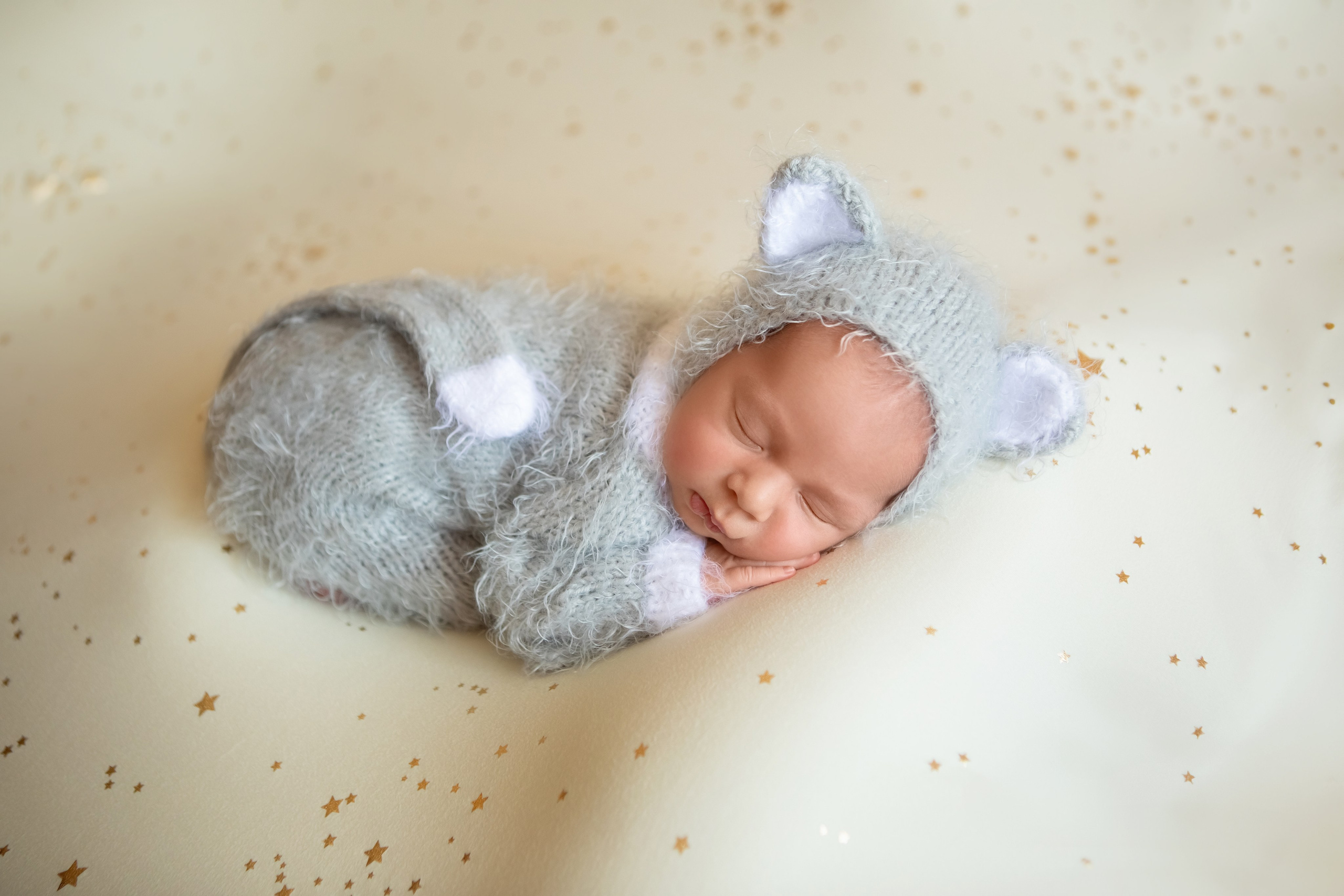 Лев. Сімейний та Весільний  фотограф Ірина Онищенко