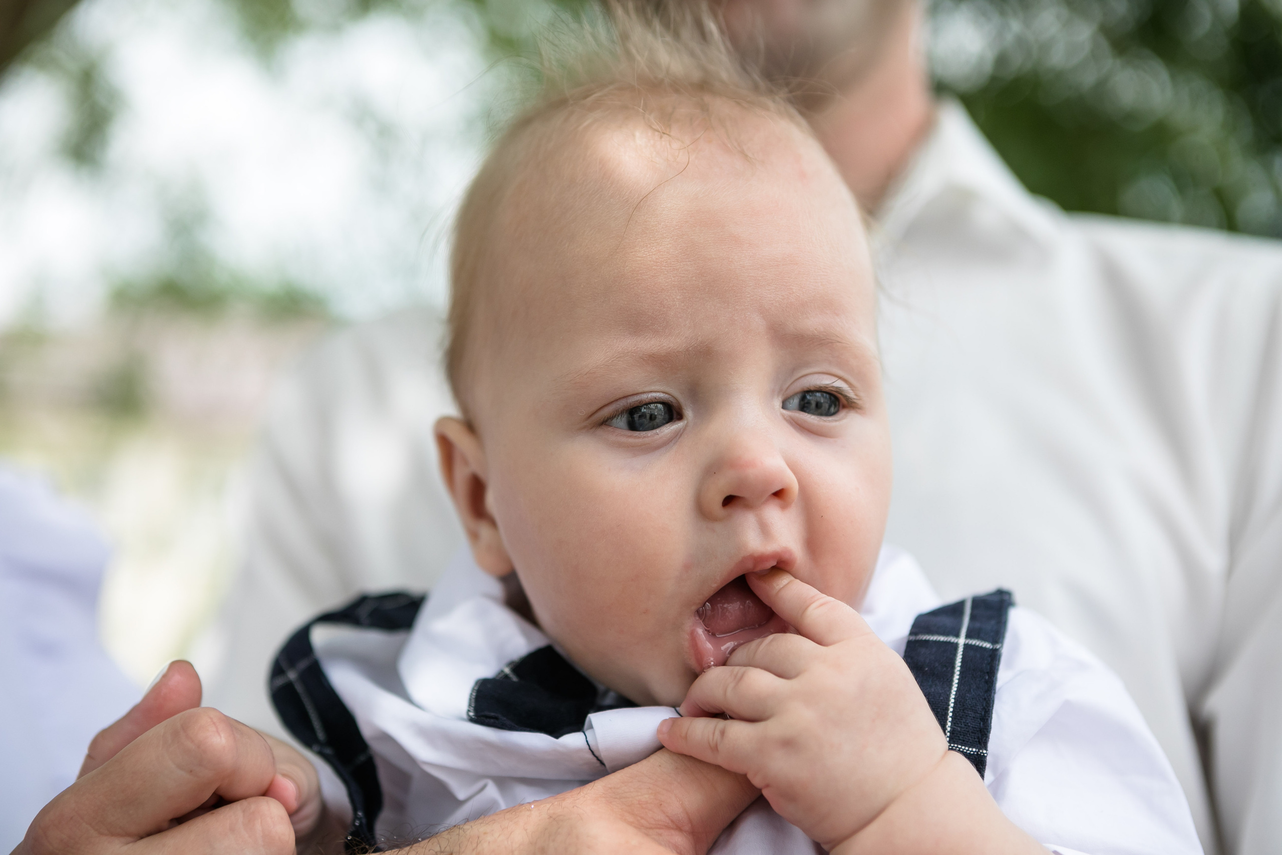 Лев. Сімейний та Весільний  фотограф Ірина Онищенко