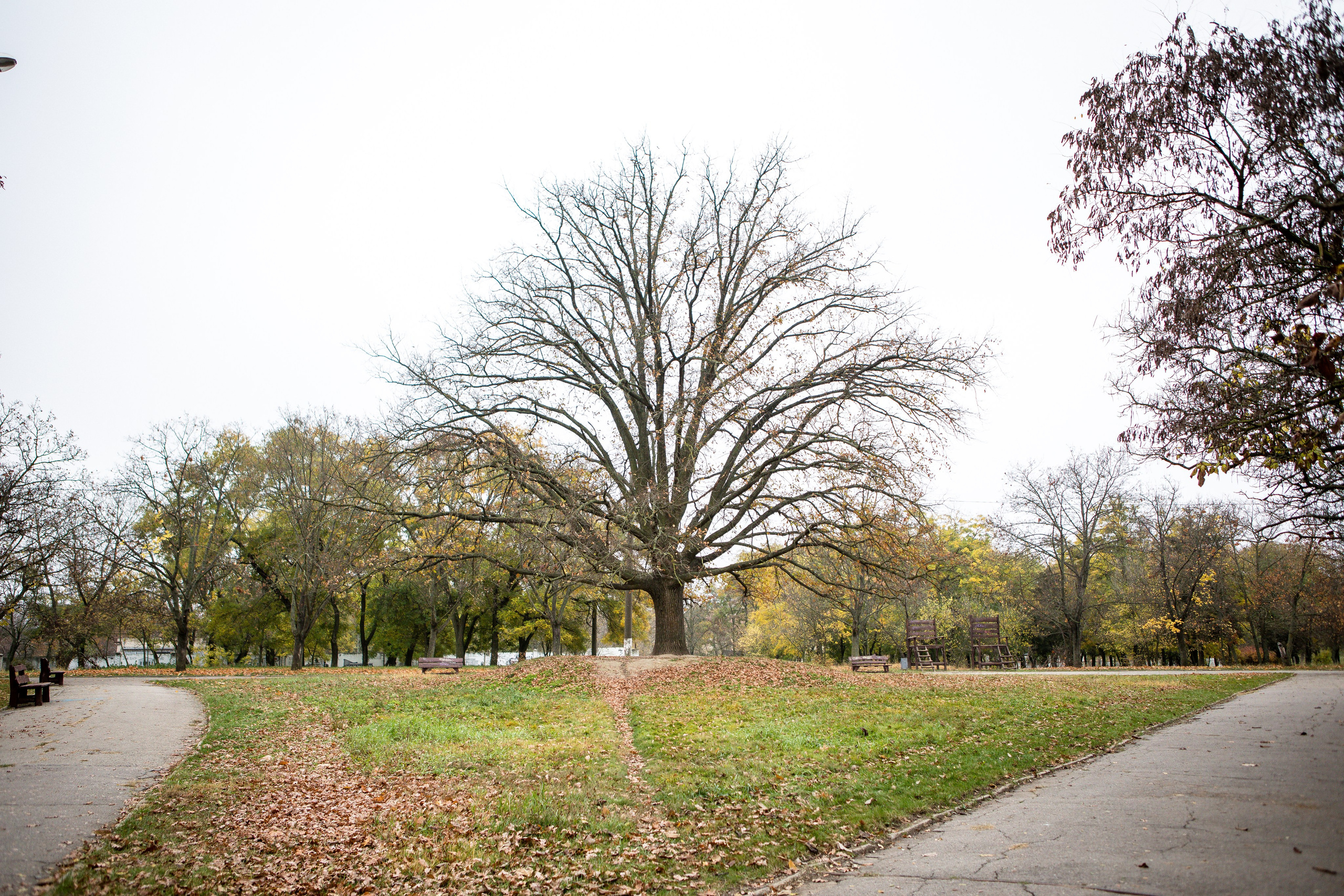 Мій рідний Херсон. Сімейний та Весільний  фотограф Ірина Онищенко