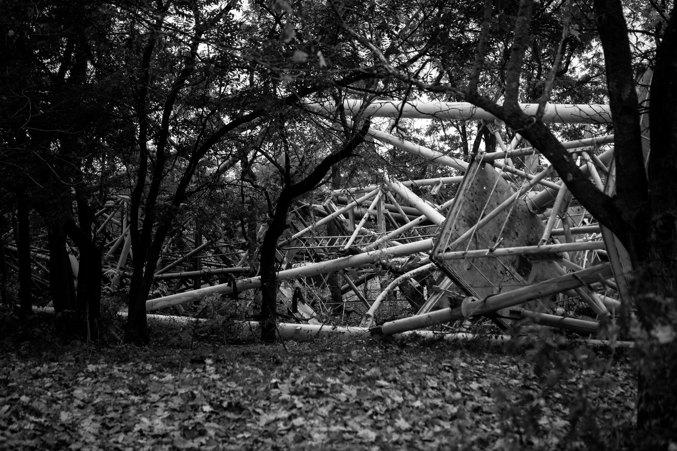 Мій рідний Херсон. Сімейний та Весільний  фотограф Ірина Онищенко