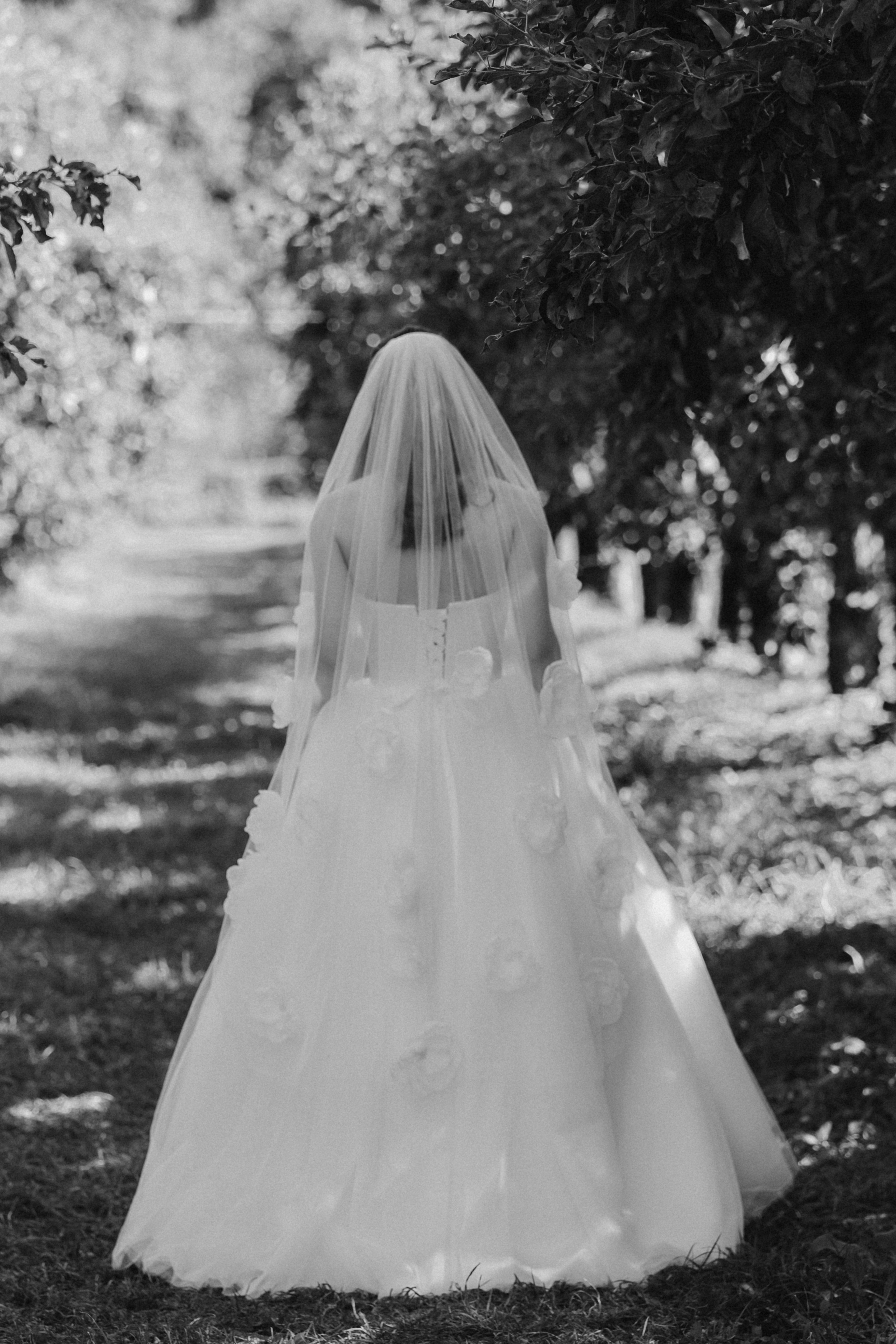 Портфолио фотографа Дубовки Валентины. Весiльний фотограф Дубовка Валя