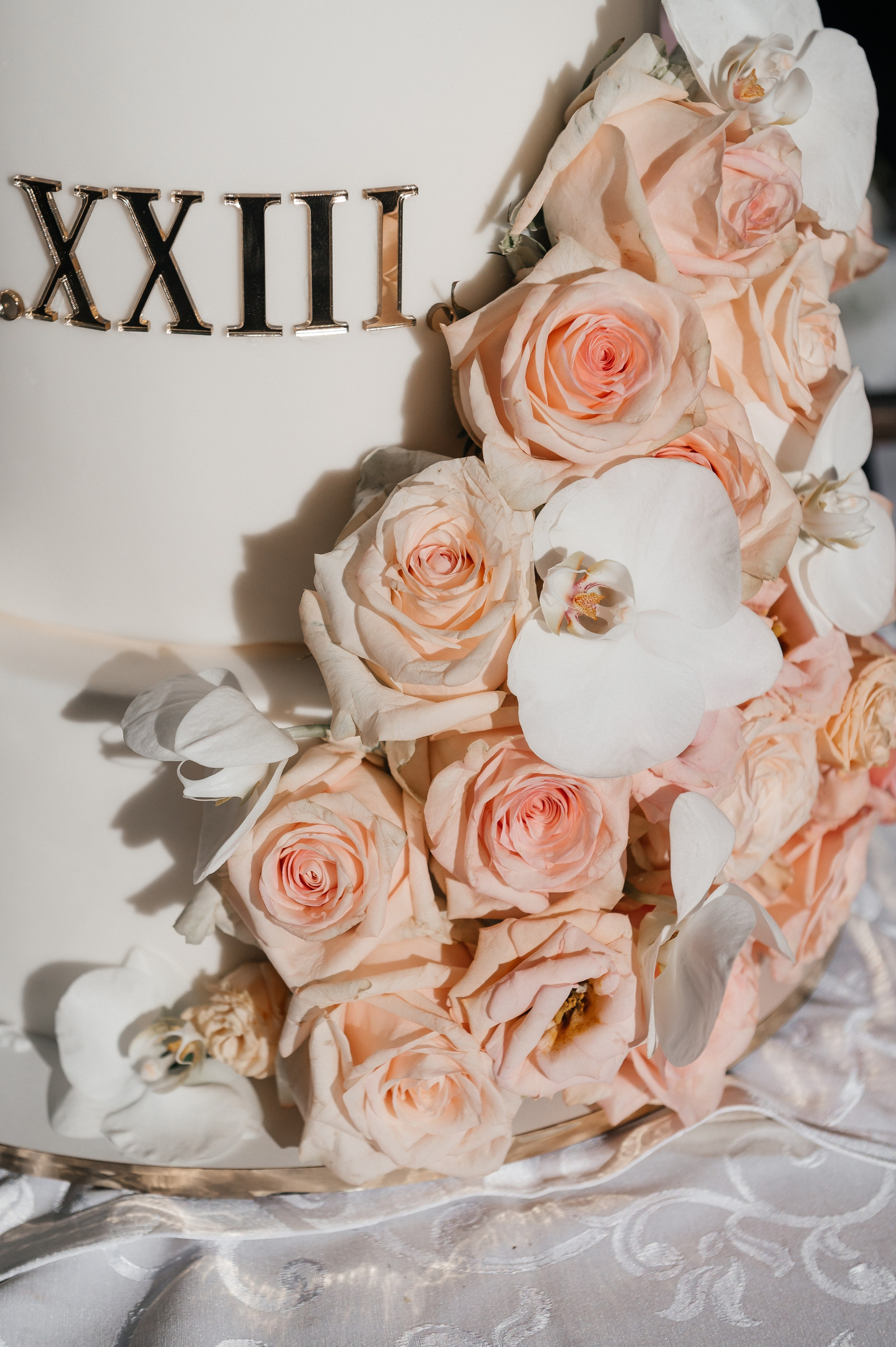 A&I. Фотограф Кривий Ріг Nina_Arnis