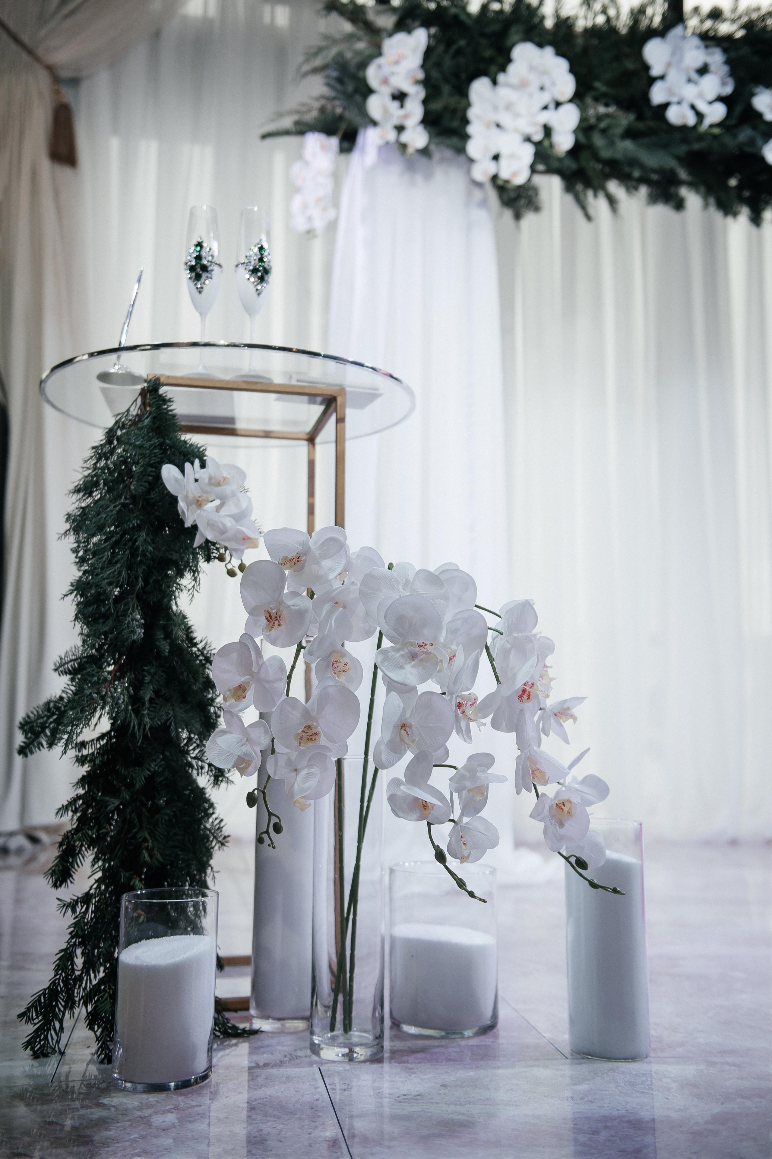 A&P. Фотограф Кривий Ріг Nina_Arnis