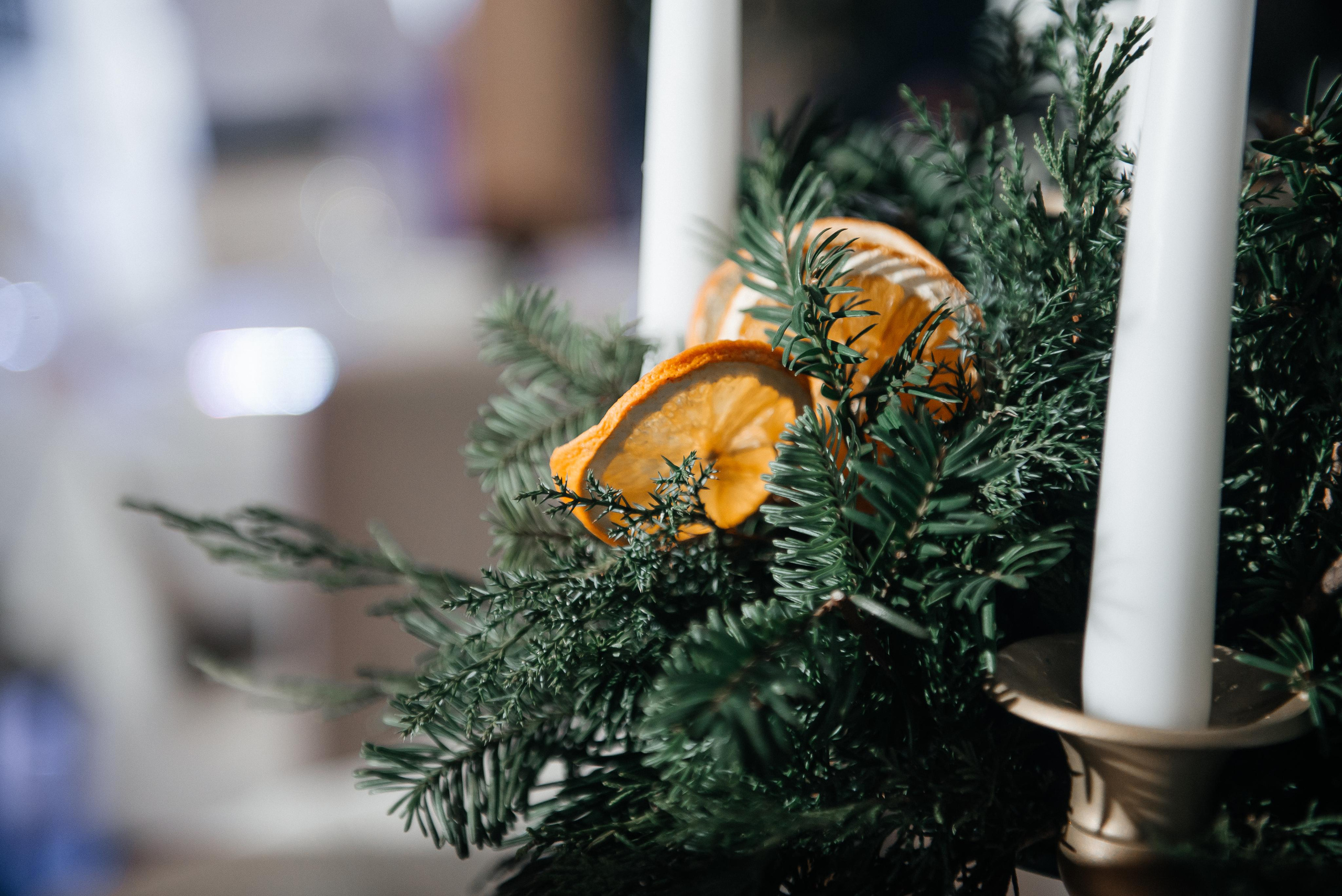 A&P. Фотограф Кривий Ріг Nina_Arnis