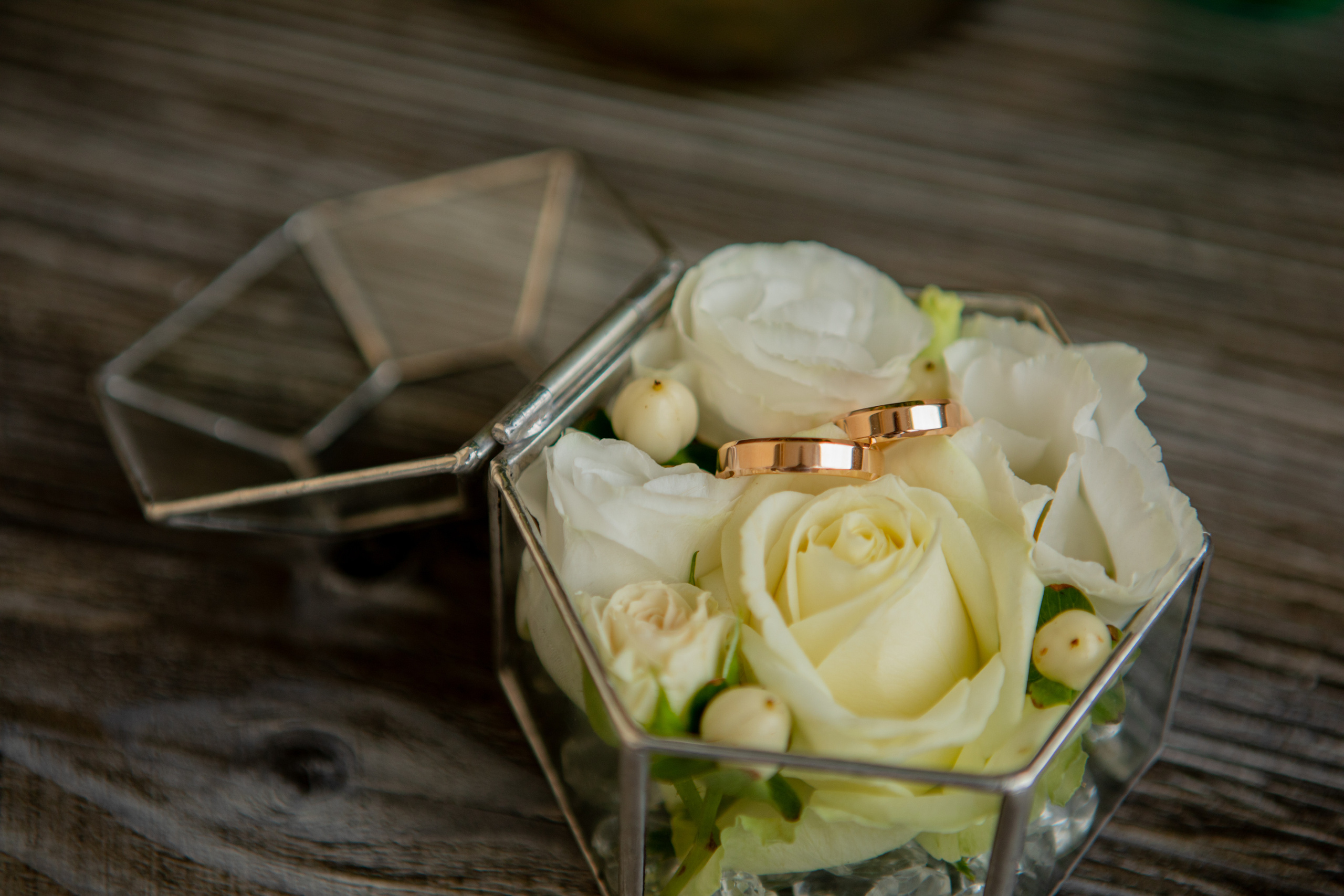 Владислав&Людмила. Весільний та сімейний фотограф Марина Лисогор, м. Суми