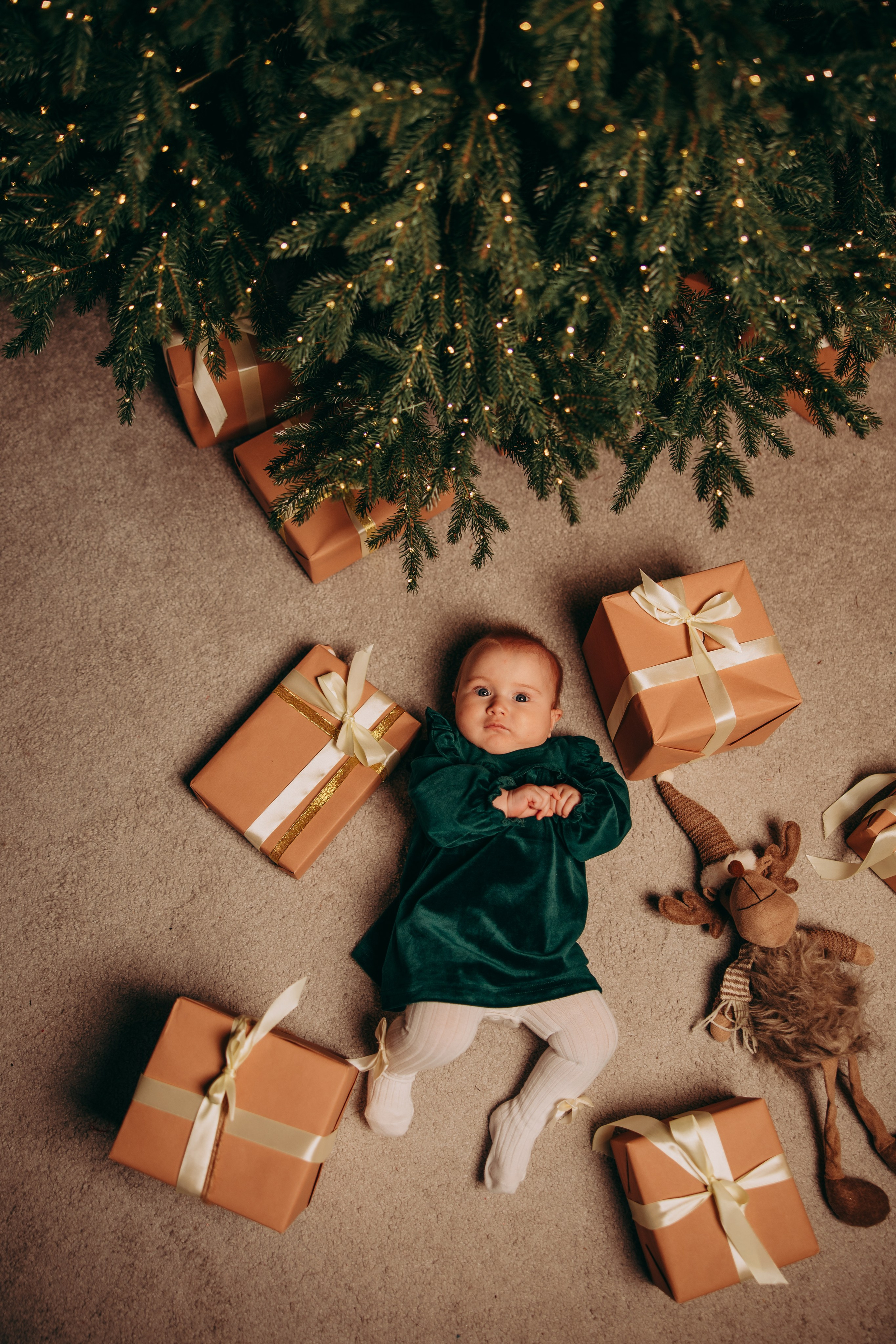 Новорічна історія. Весільний та сімейний фотограф Марина Лисогор, м. Суми