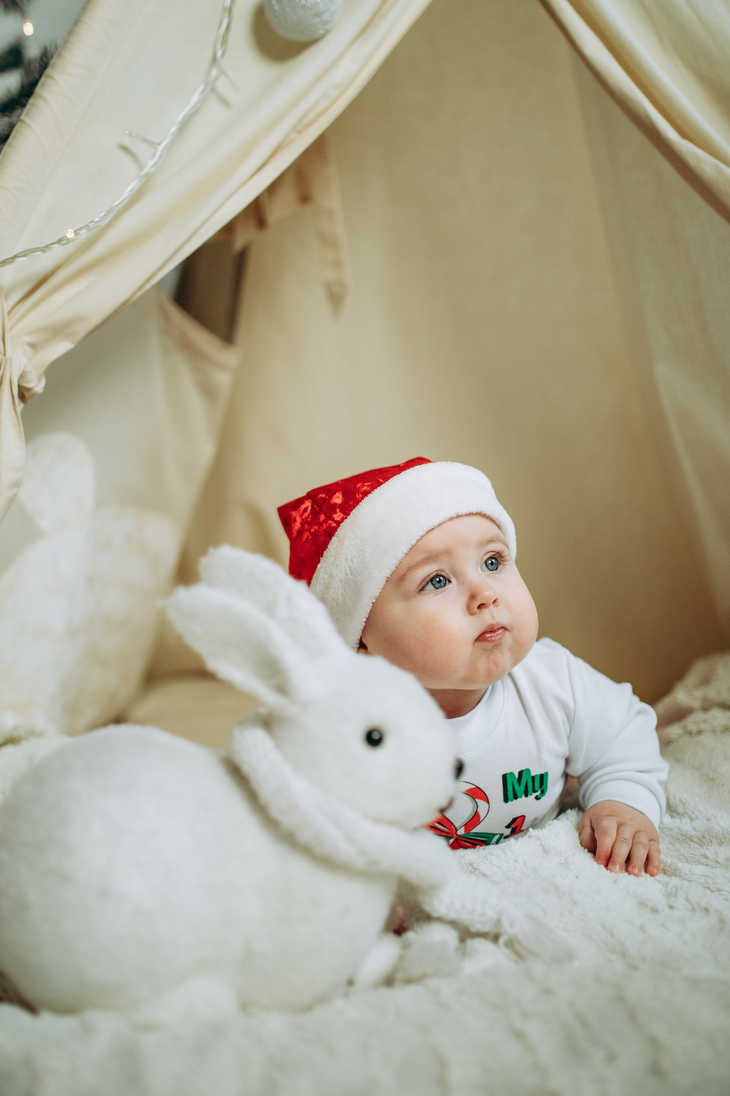 Перший новий рік. Весільний та сімейний фотограф Марина Лисогор, м. Суми