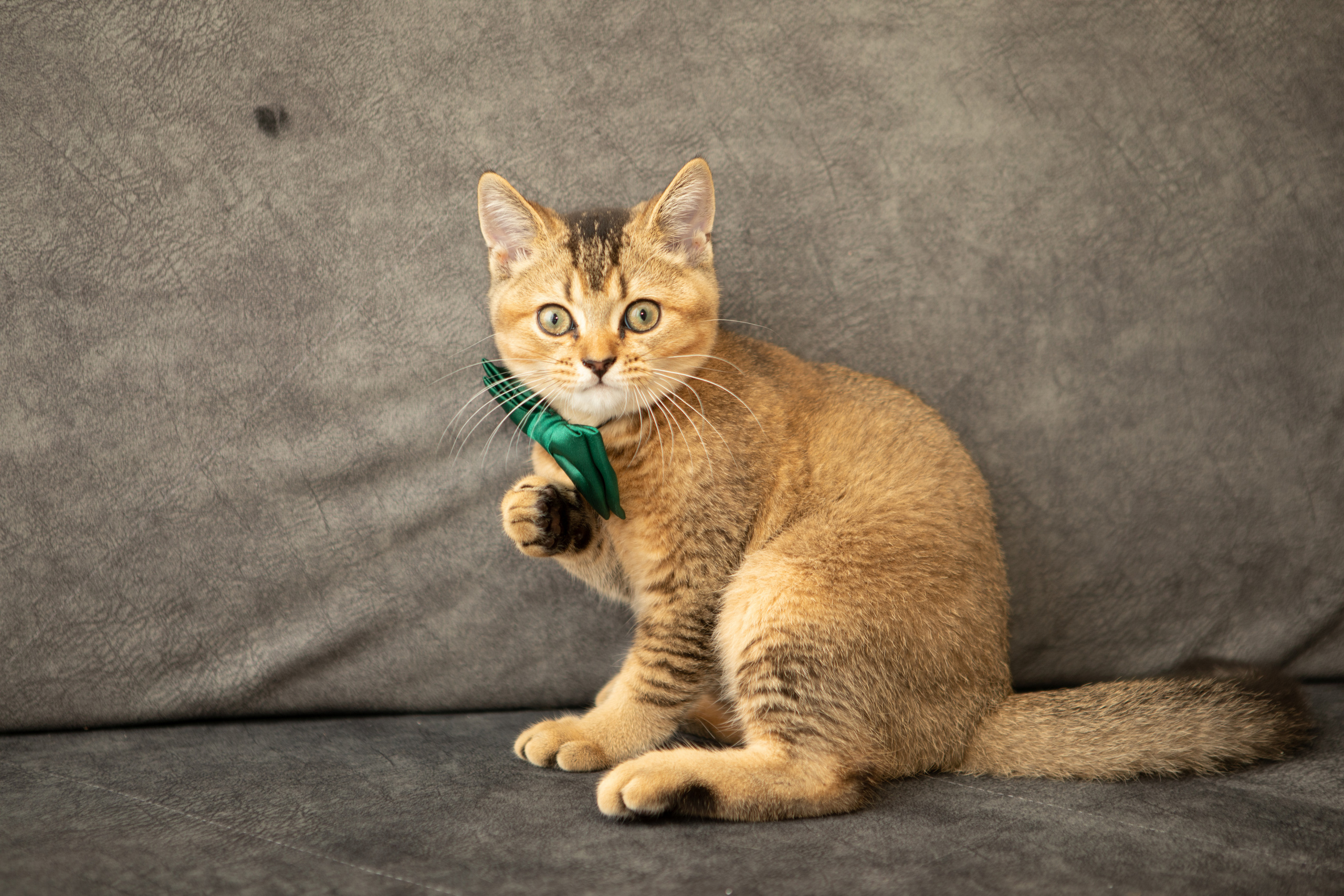 Владислав&Людмила. Весільний та сімейний фотограф Марина Лисогор, м. Суми