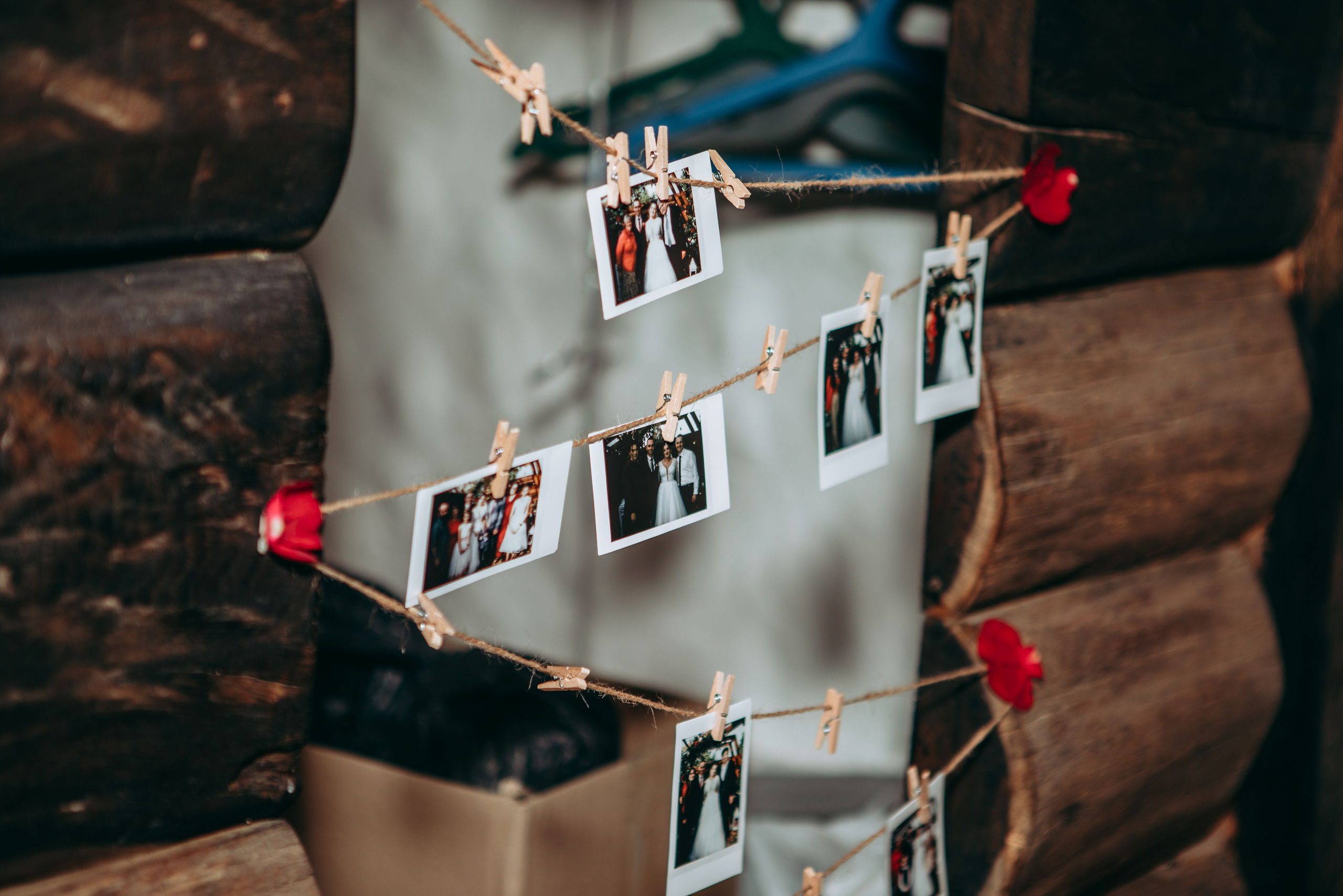 Володимир&Альона. Весільний та сімейний фотограф Марина Лисогор, м. Суми