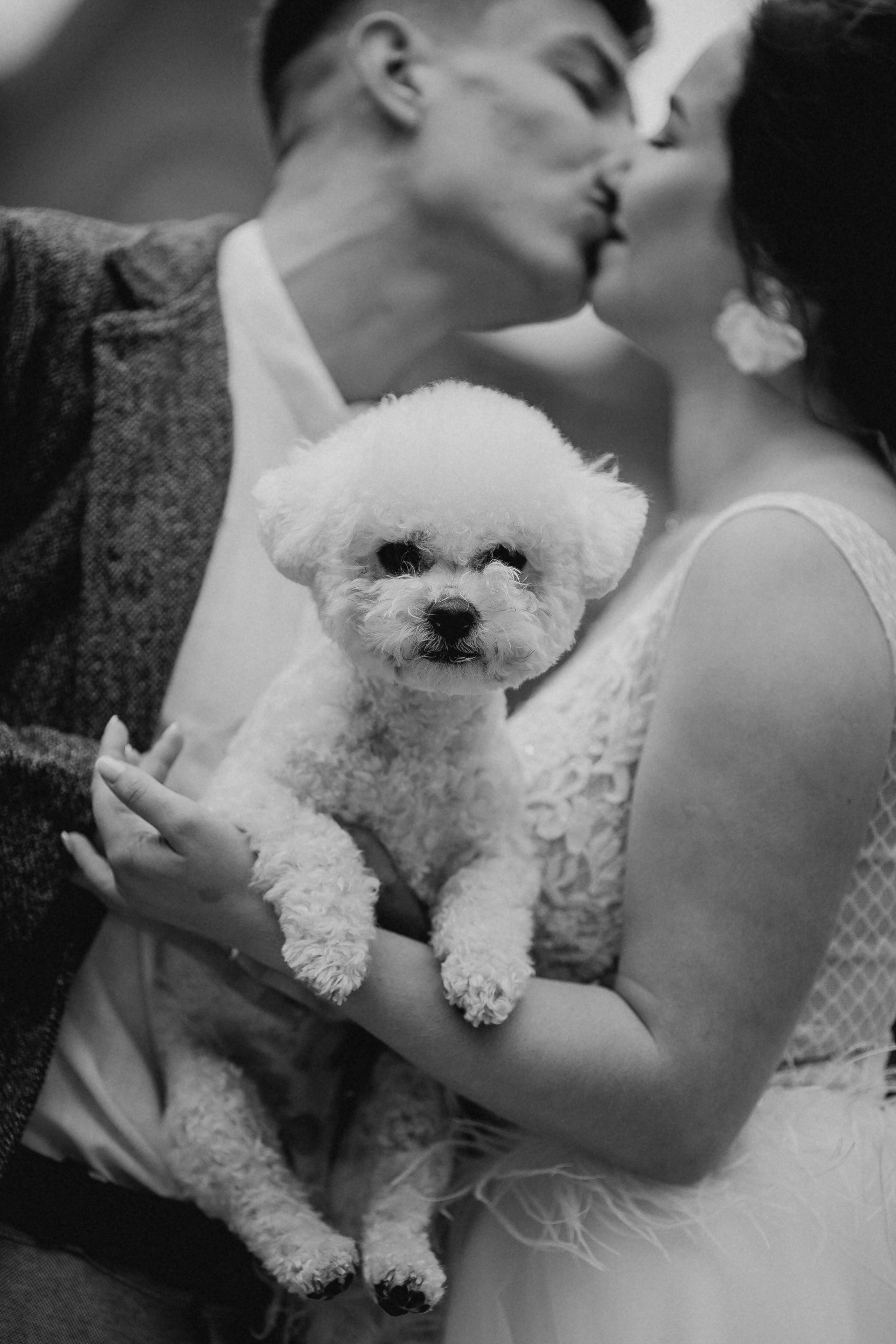 Дмитро&Катерина. Весільний та сімейний фотограф Марина Лисогор, м. Суми