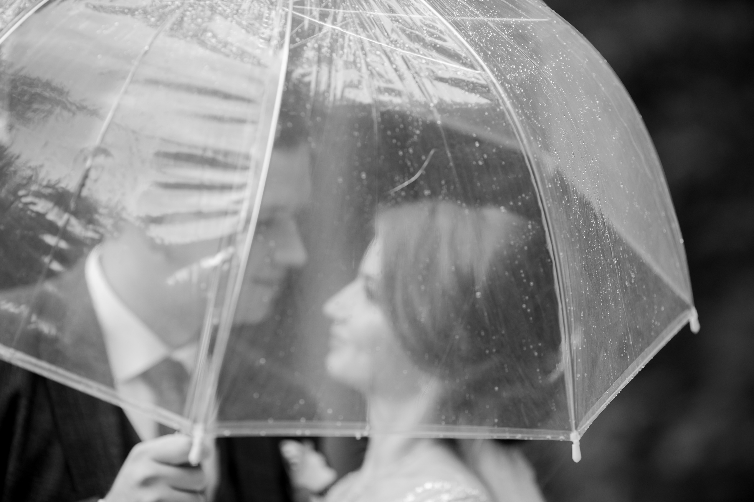 Владислав&Людмила. Весільний та сімейний фотограф Марина Лисогор, м. Суми