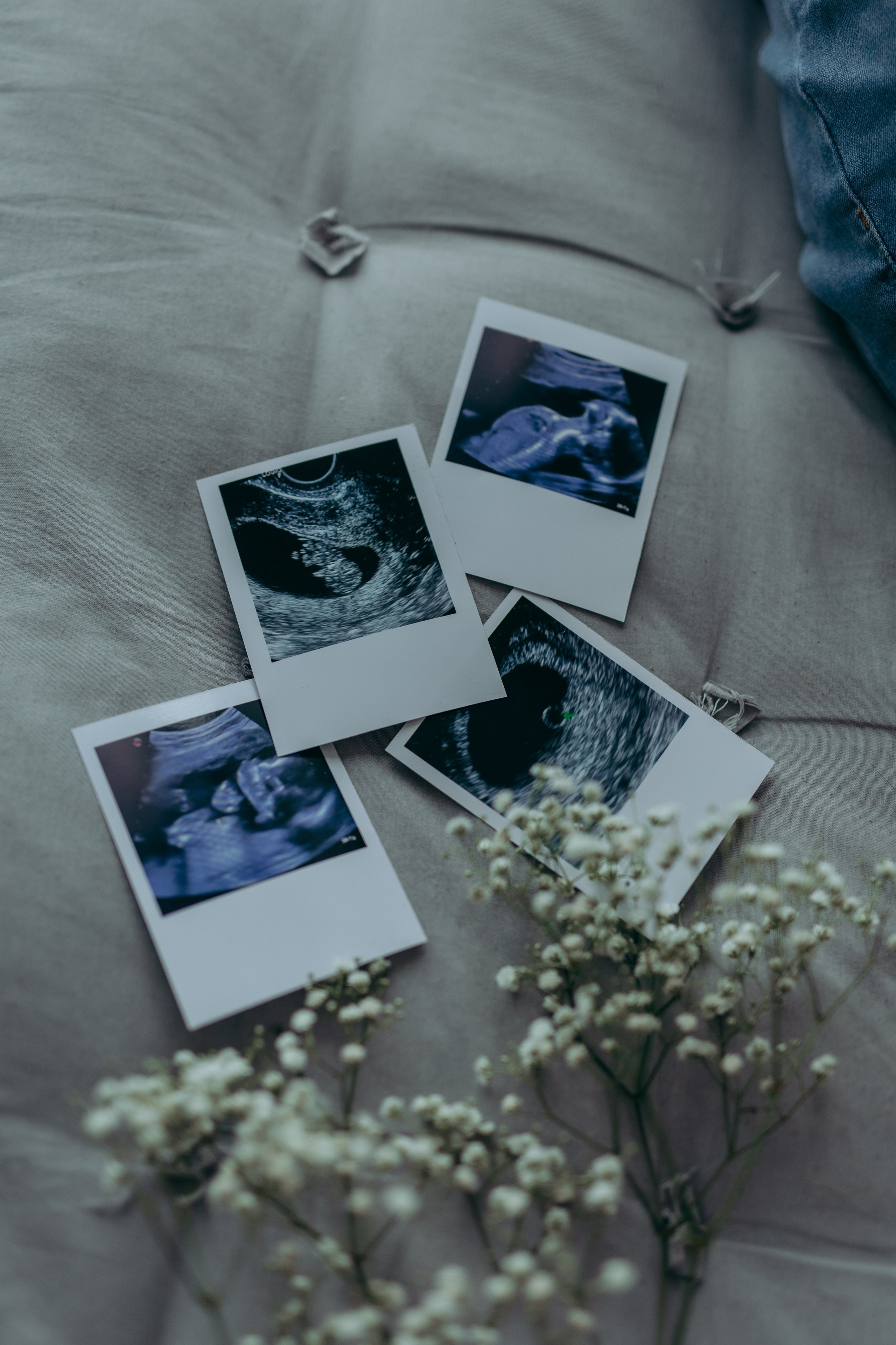 Анастасія. Весільний та сімейний фотограф Марина Лисогор, м. Суми