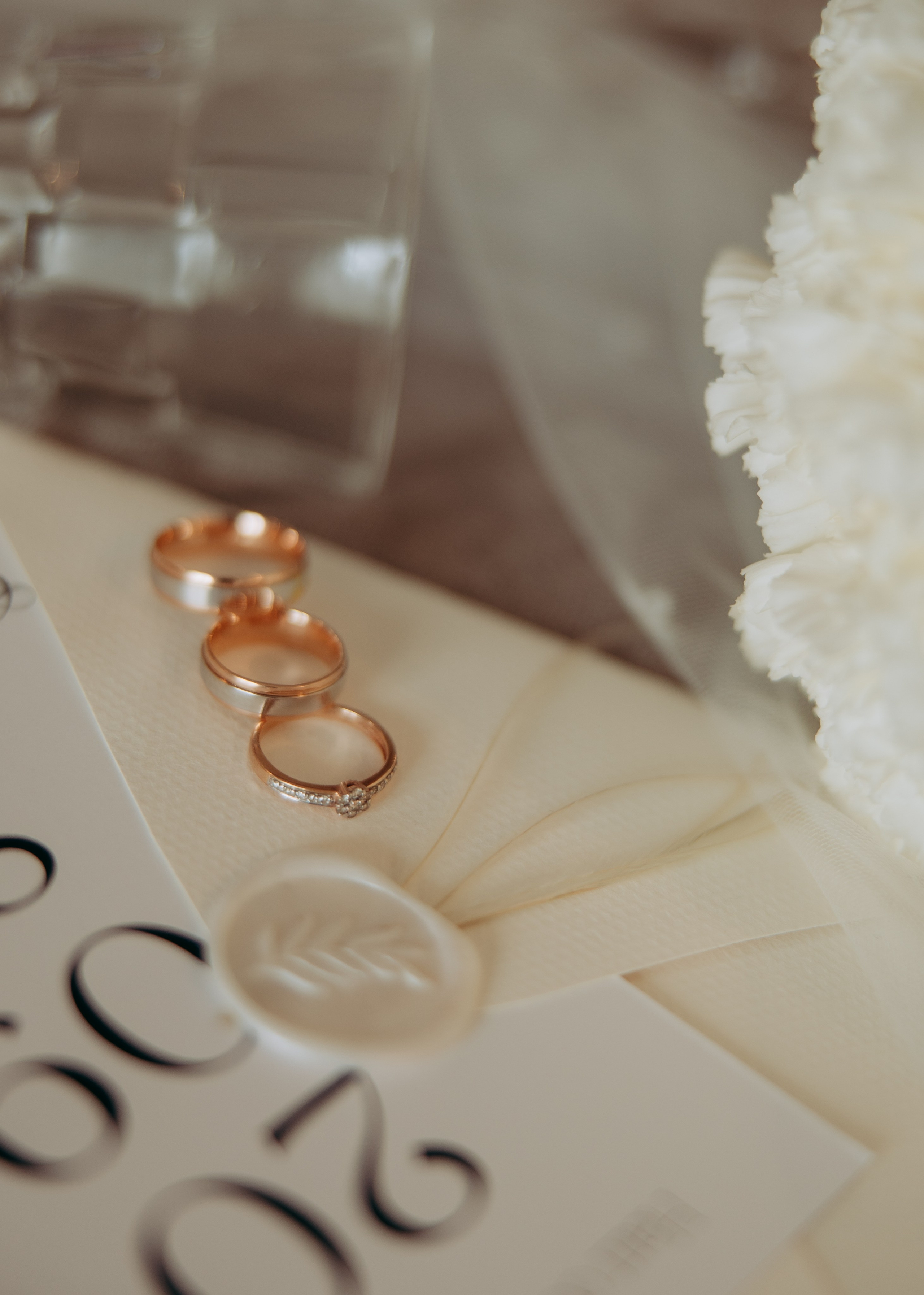 Стас&Вікторія. Весільний та сімейний фотограф Марина Лисогор, м. Суми