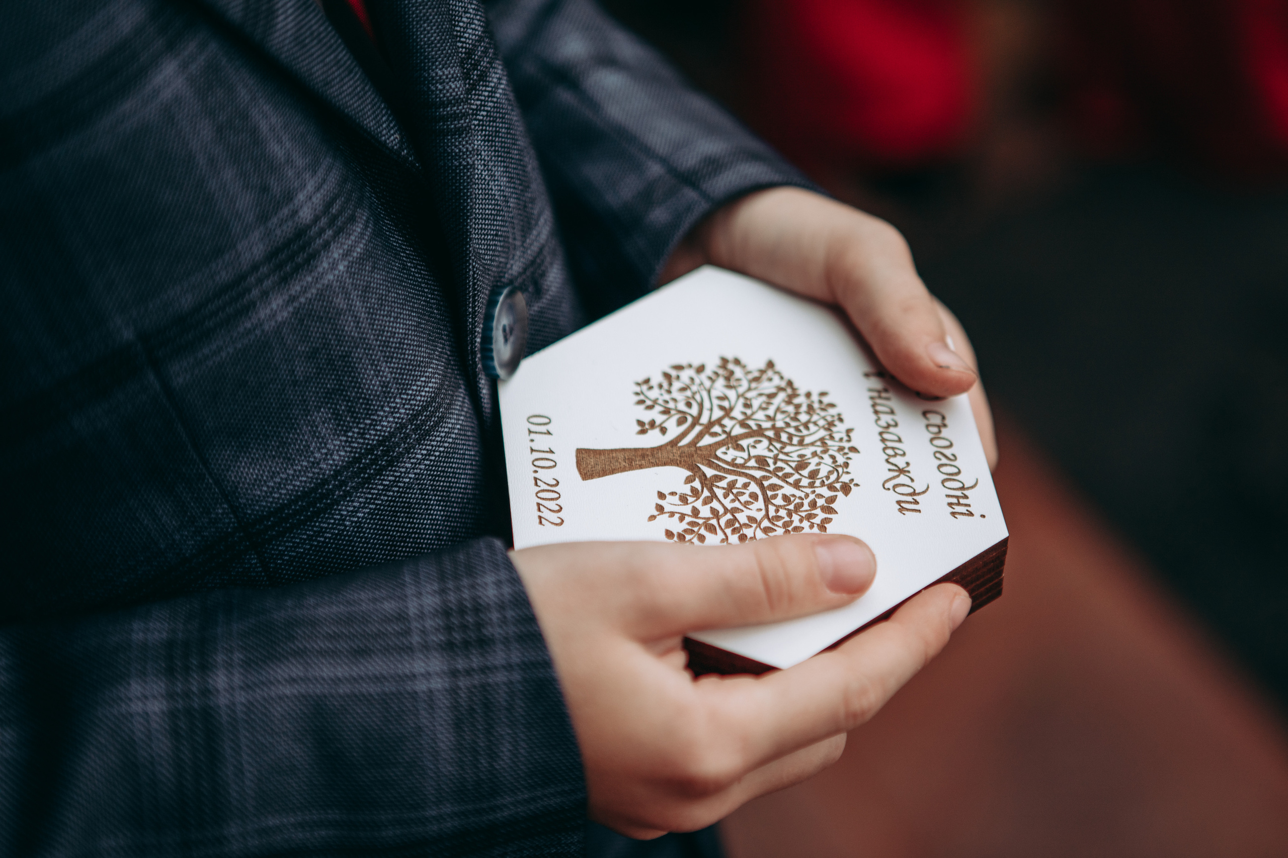 Володимир&Альона. Весільний та сімейний фотограф Марина Лисогор, м. Суми