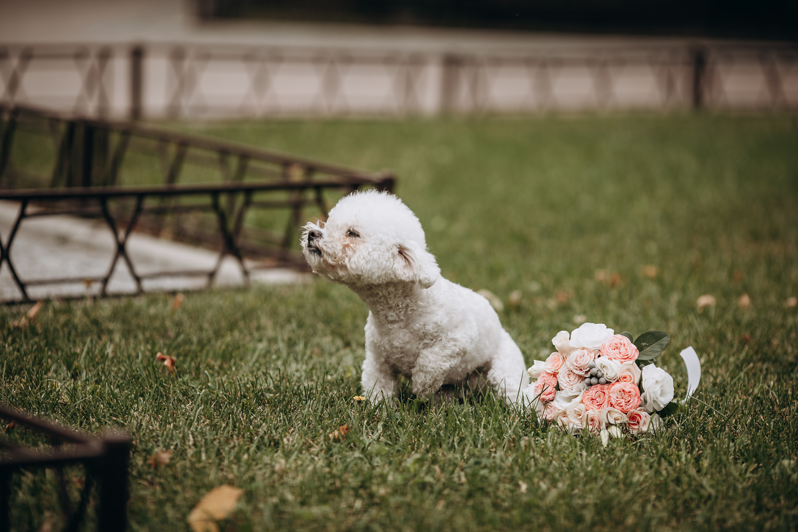 Дмитро&Катерина. Весільний та сімейний фотограф Марина Лисогор, м. Суми