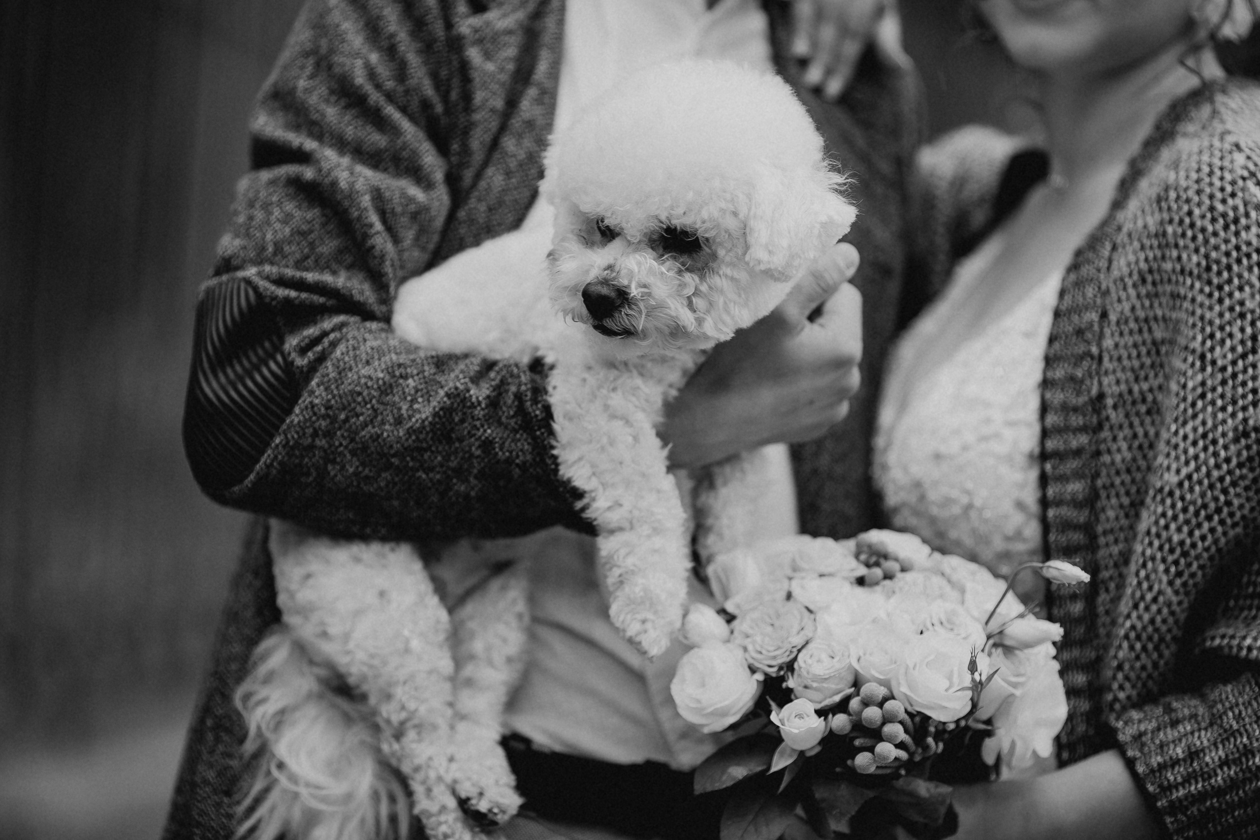 Дмитро&Катерина. Весільний та сімейний фотограф Марина Лисогор, м. Суми