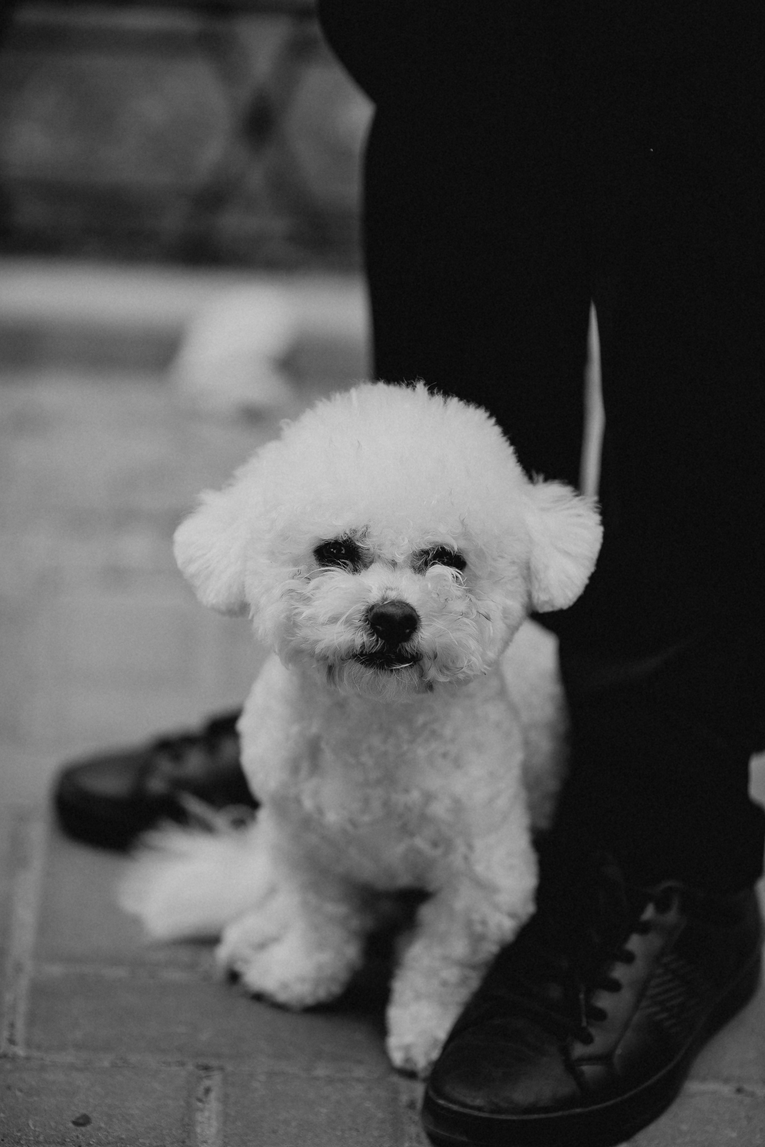 Дмитро&Катерина. Весільний та сімейний фотограф Марина Лисогор, м. Суми