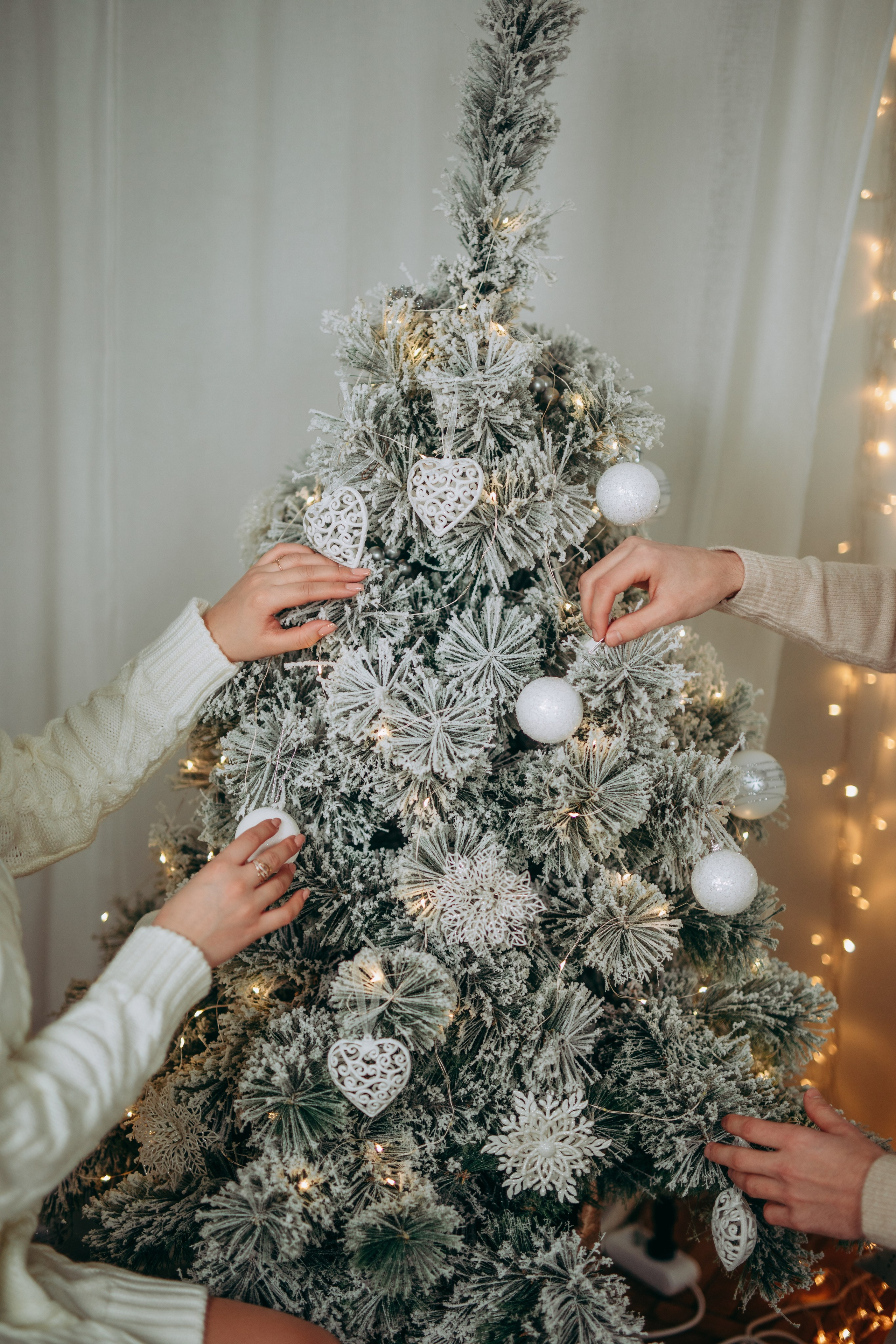 🎄. Весільний та сімейний фотограф Марина Лисогор, м. Суми