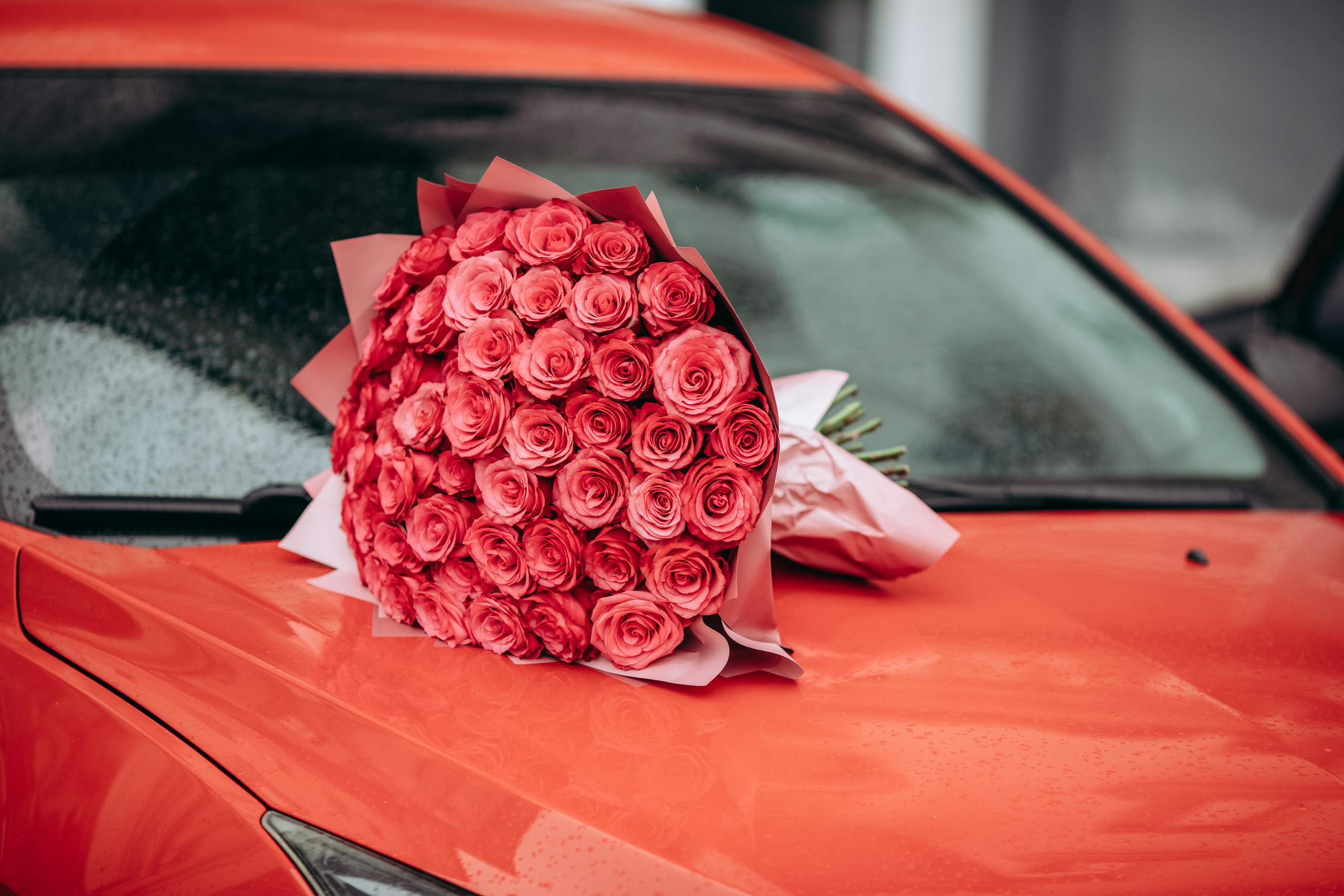 Віталій&Катя. Весільний та сімейний фотограф Марина Лисогор, м. Суми