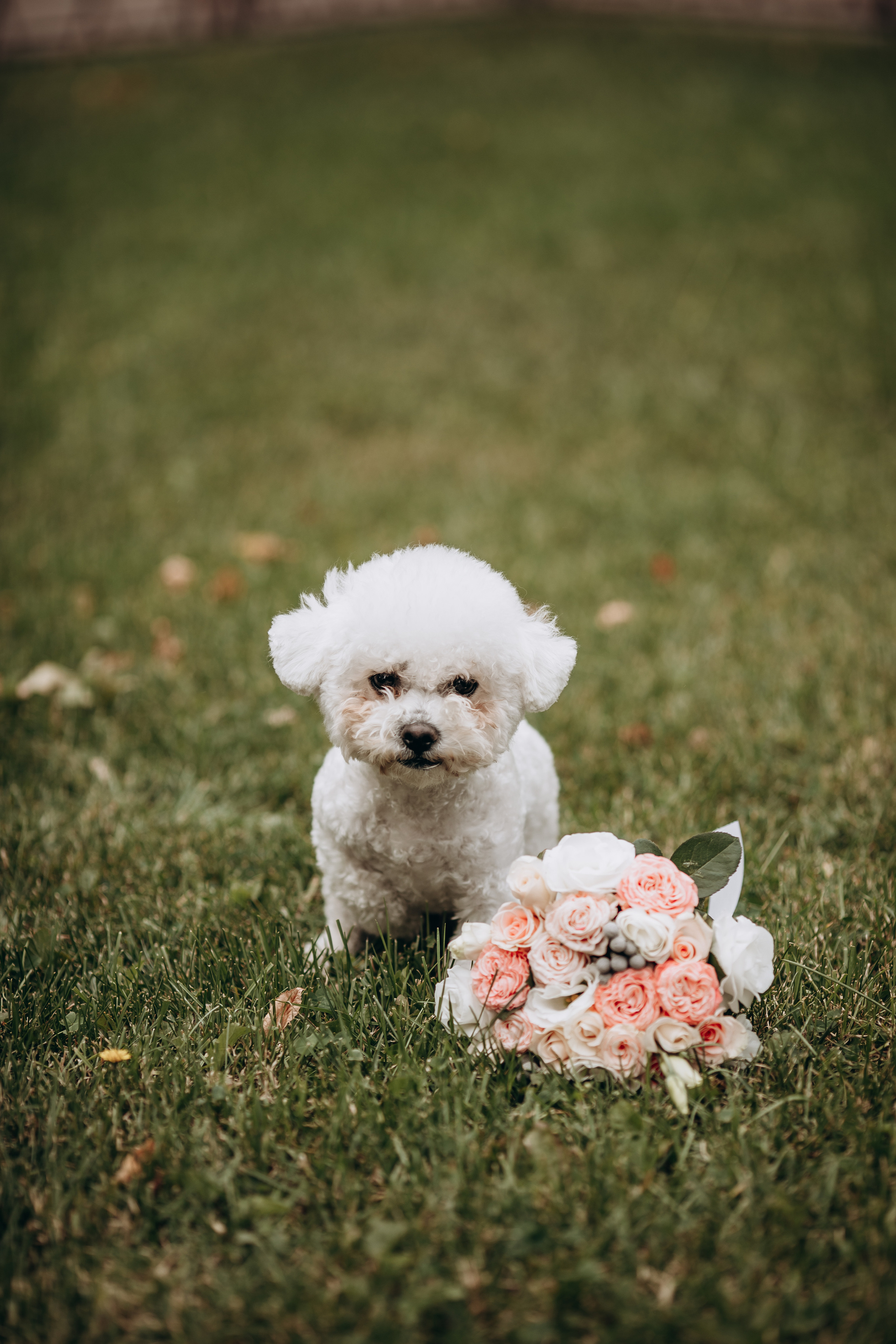Дмитро&Катерина. Весільний та сімейний фотограф Марина Лисогор, м. Суми