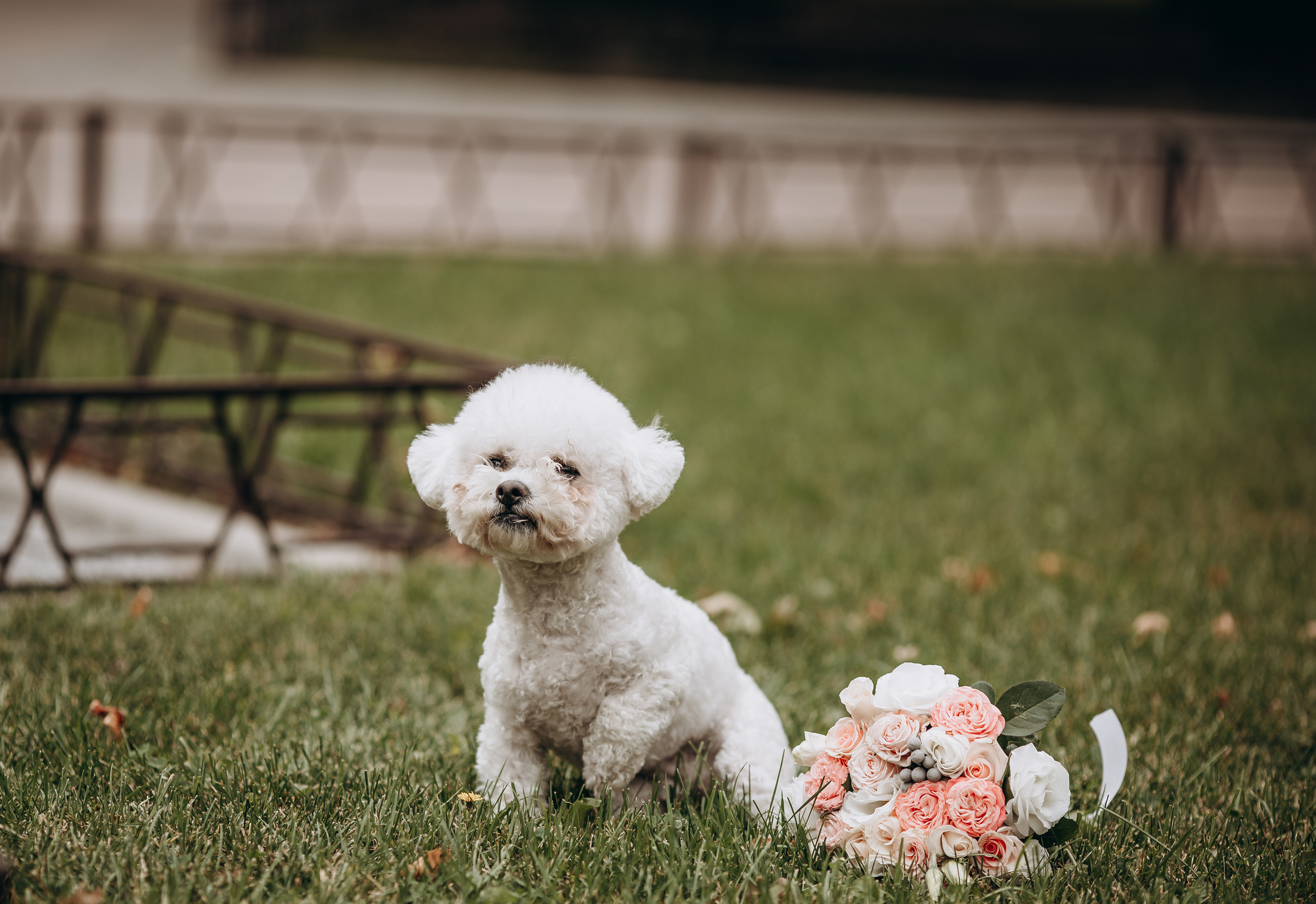 Дмитро&Катерина. Весільний та сімейний фотограф Марина Лисогор, м. Суми