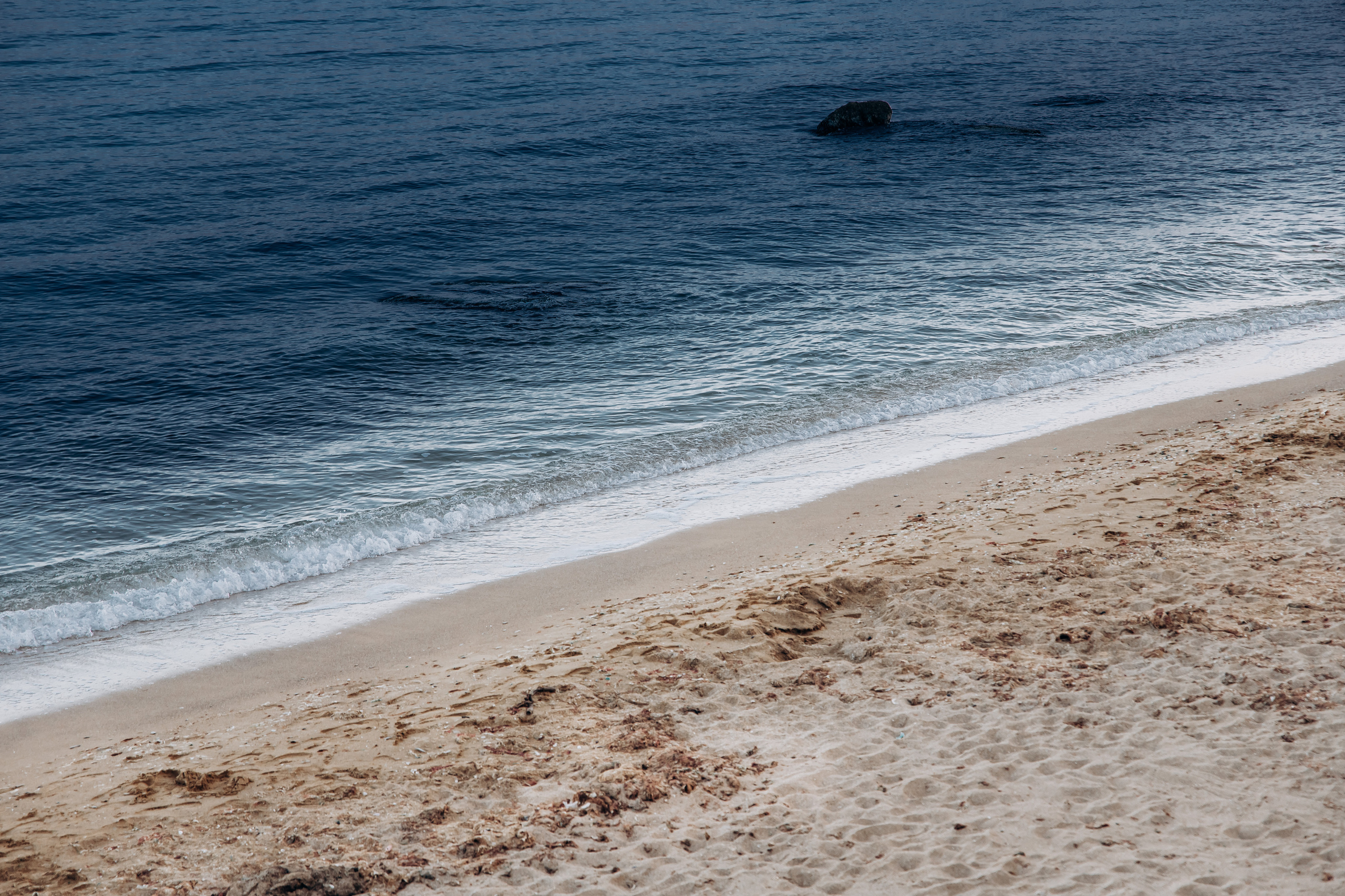 A+L 12.05.2021. Головна