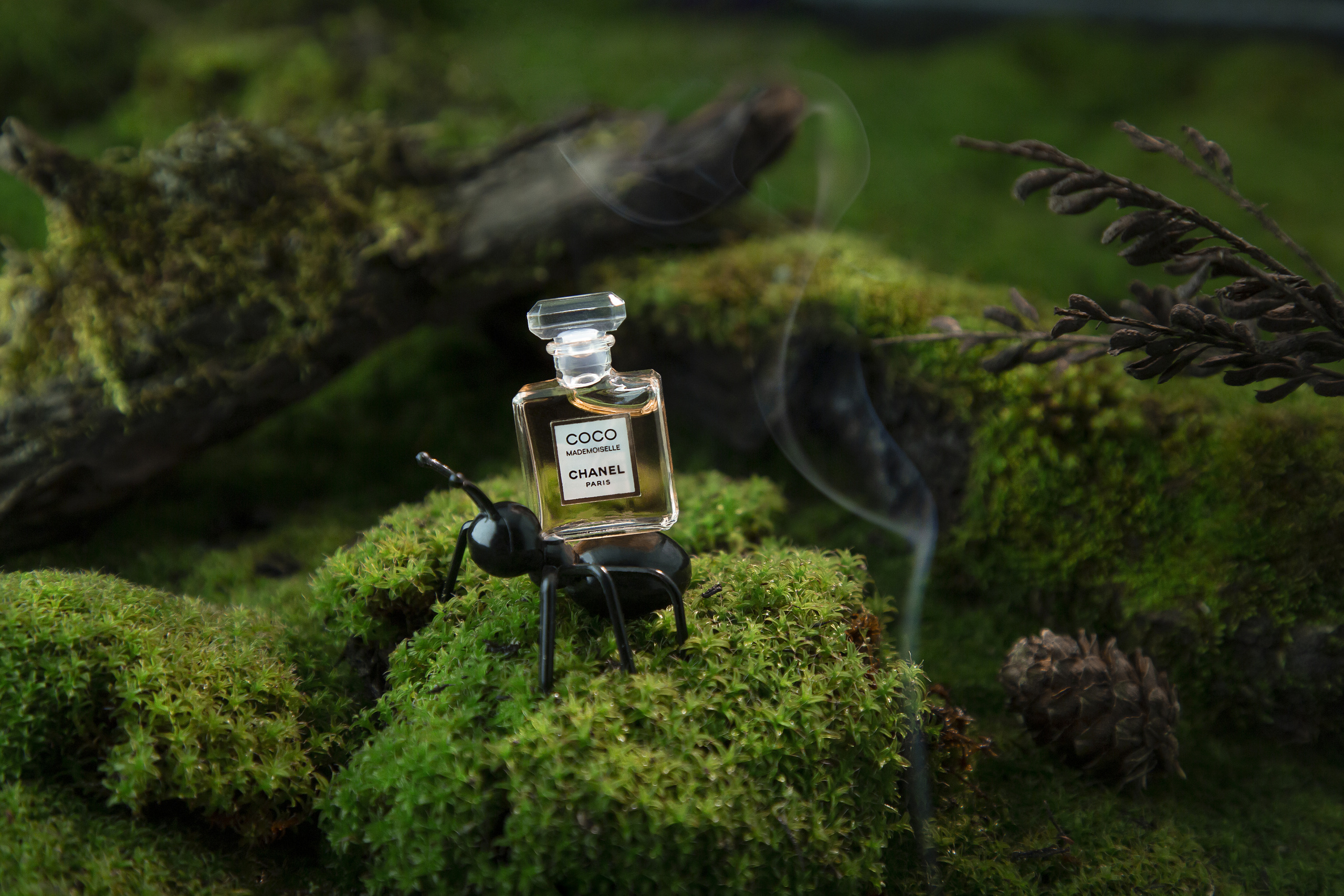 ПРЕДМЕТКА. Фото і відео Київ Анна Тимошок. Портретна, предметна, сімейна зйомка