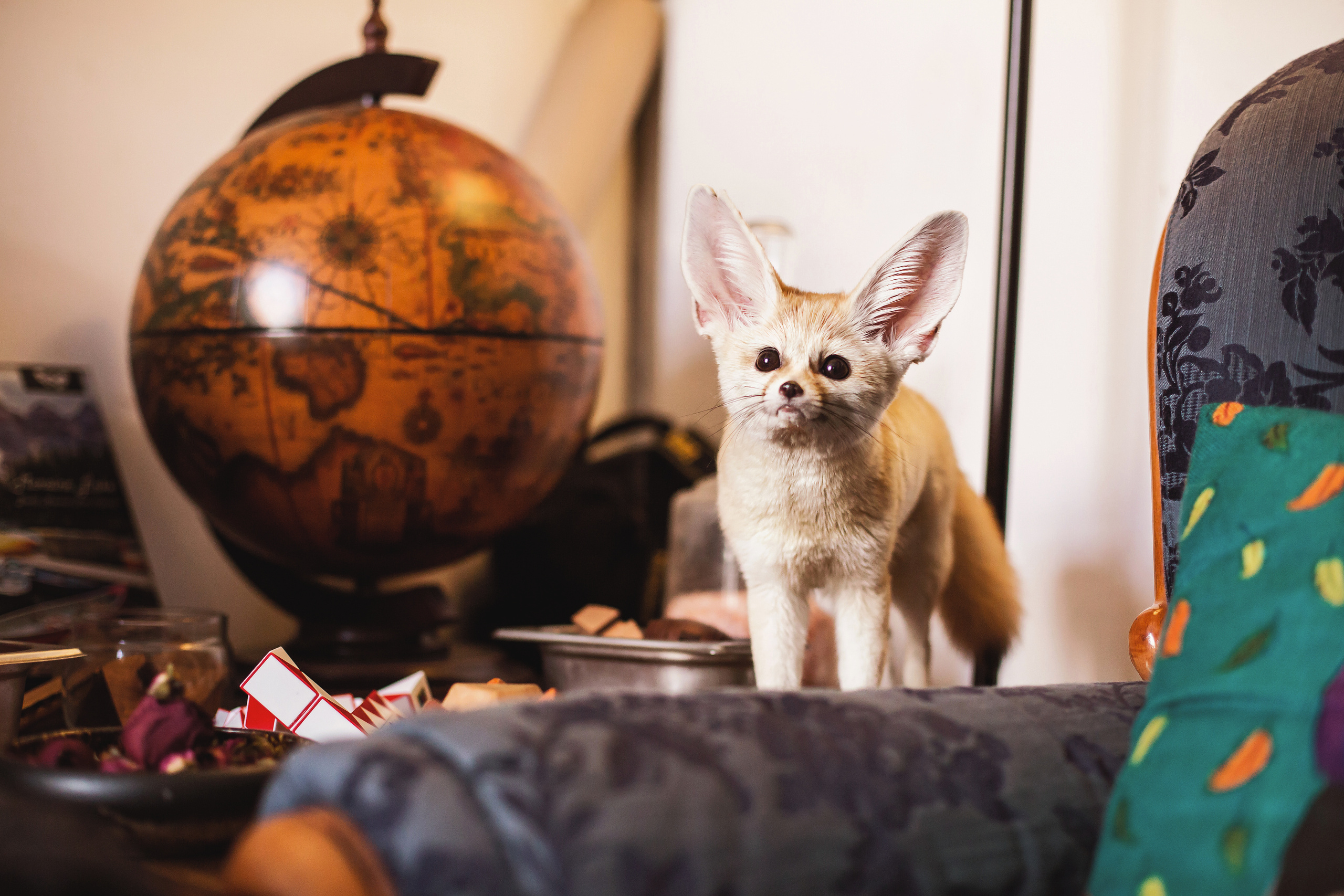 Альбом 12. Фото і відео Київ Анна Тимошок. Портретна, предметна, сімейна зйомка