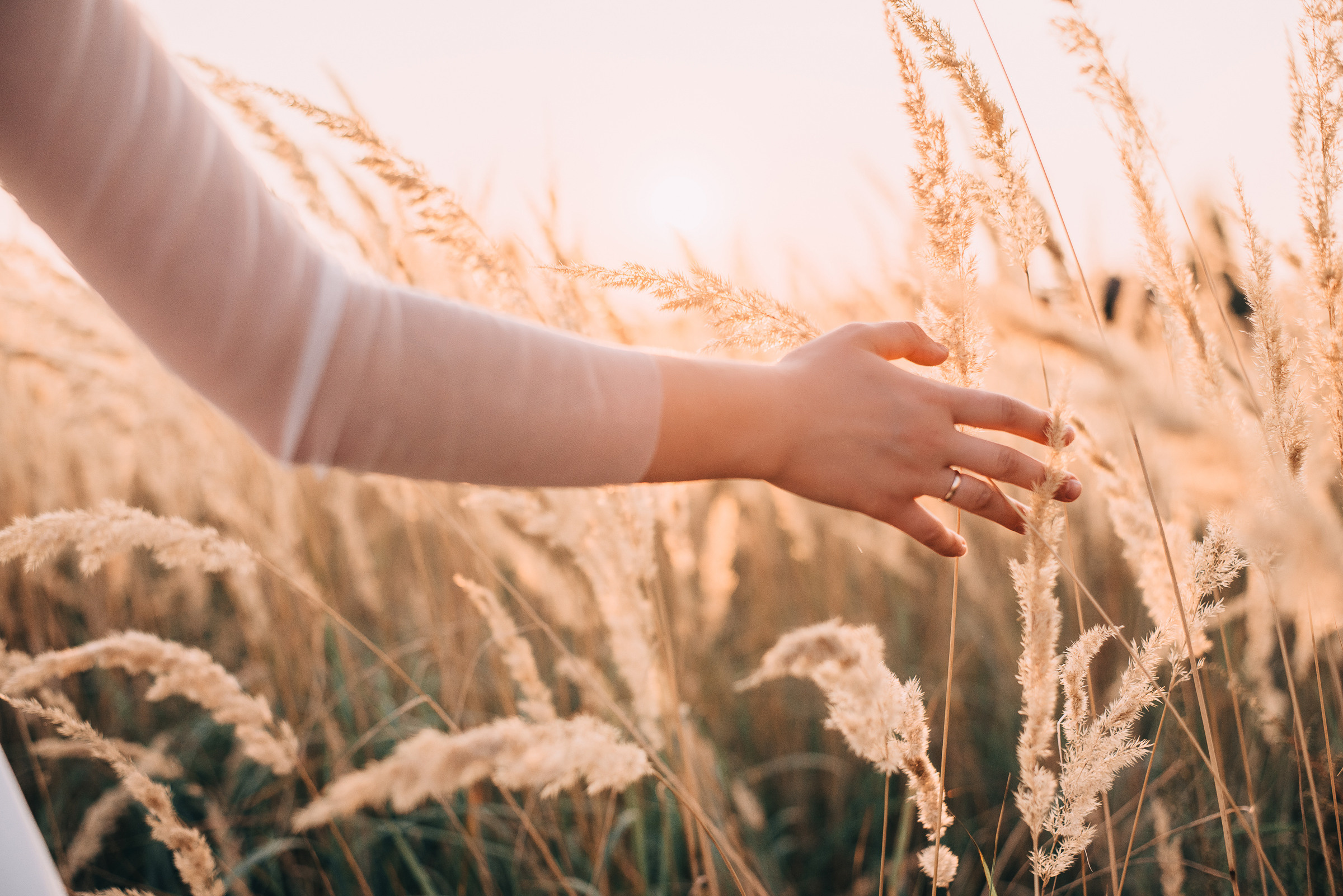 Ilona&Peter. Фотограф Руслан Будім