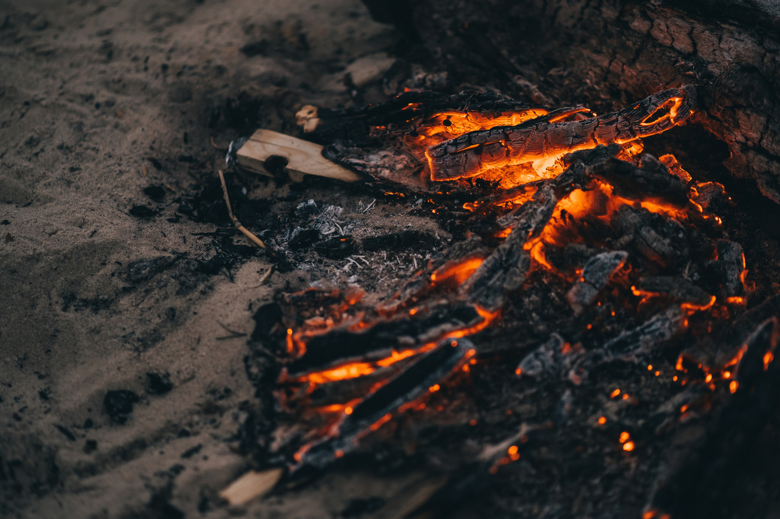 Юля&Макс. Фотограф Руслан Будім