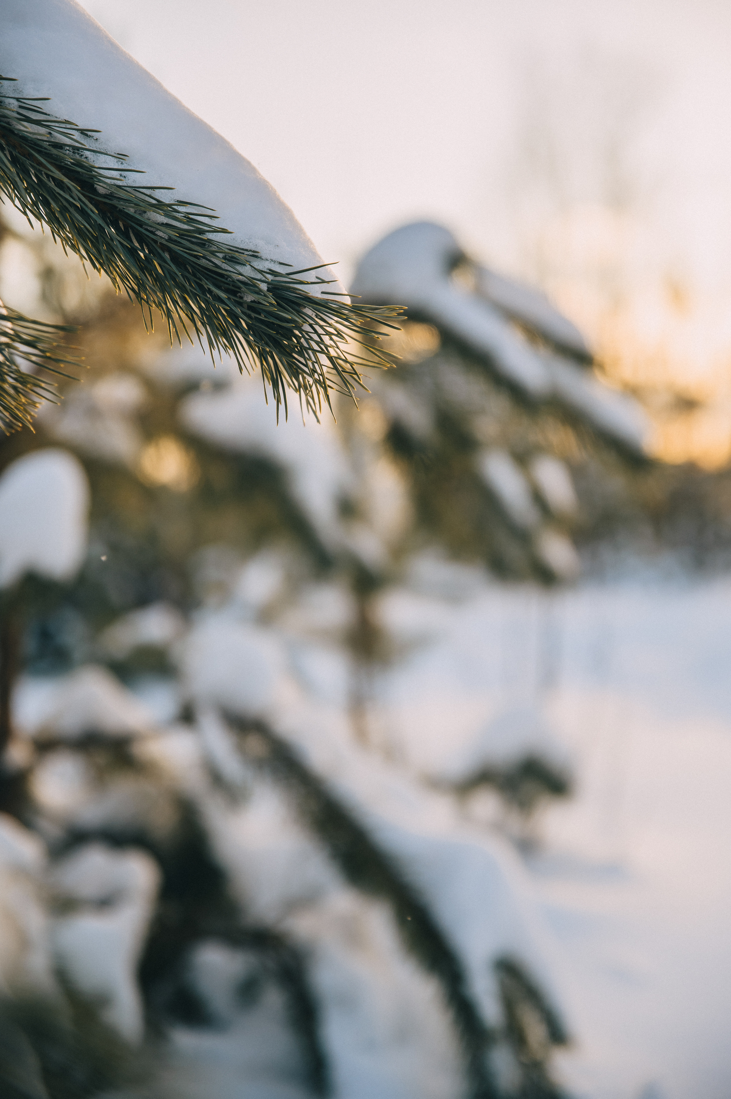 Den&Kate&Mark. Фотограф Руслан Будім