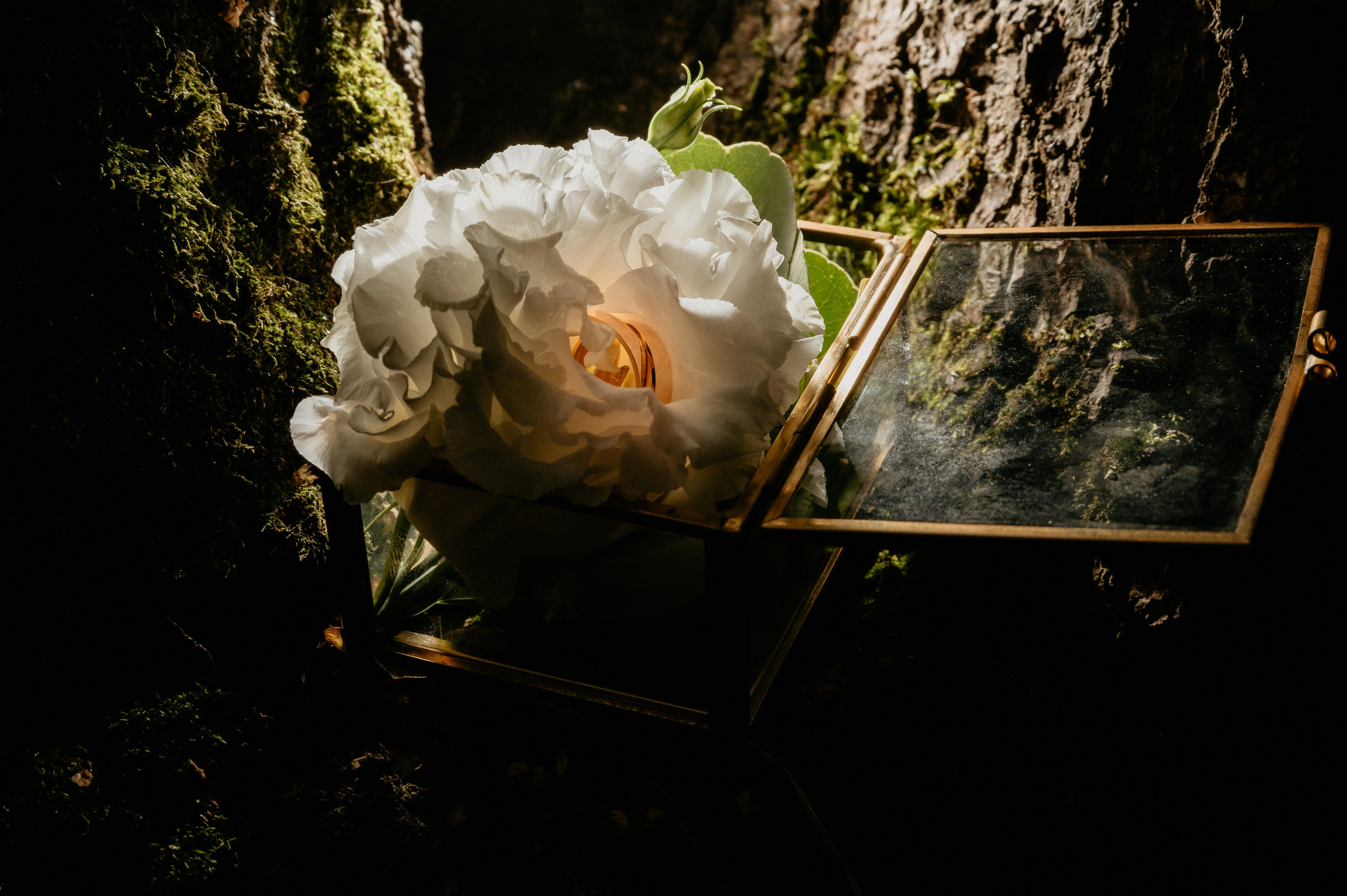 Юля та Андрій. Фотограф Руслан Будім