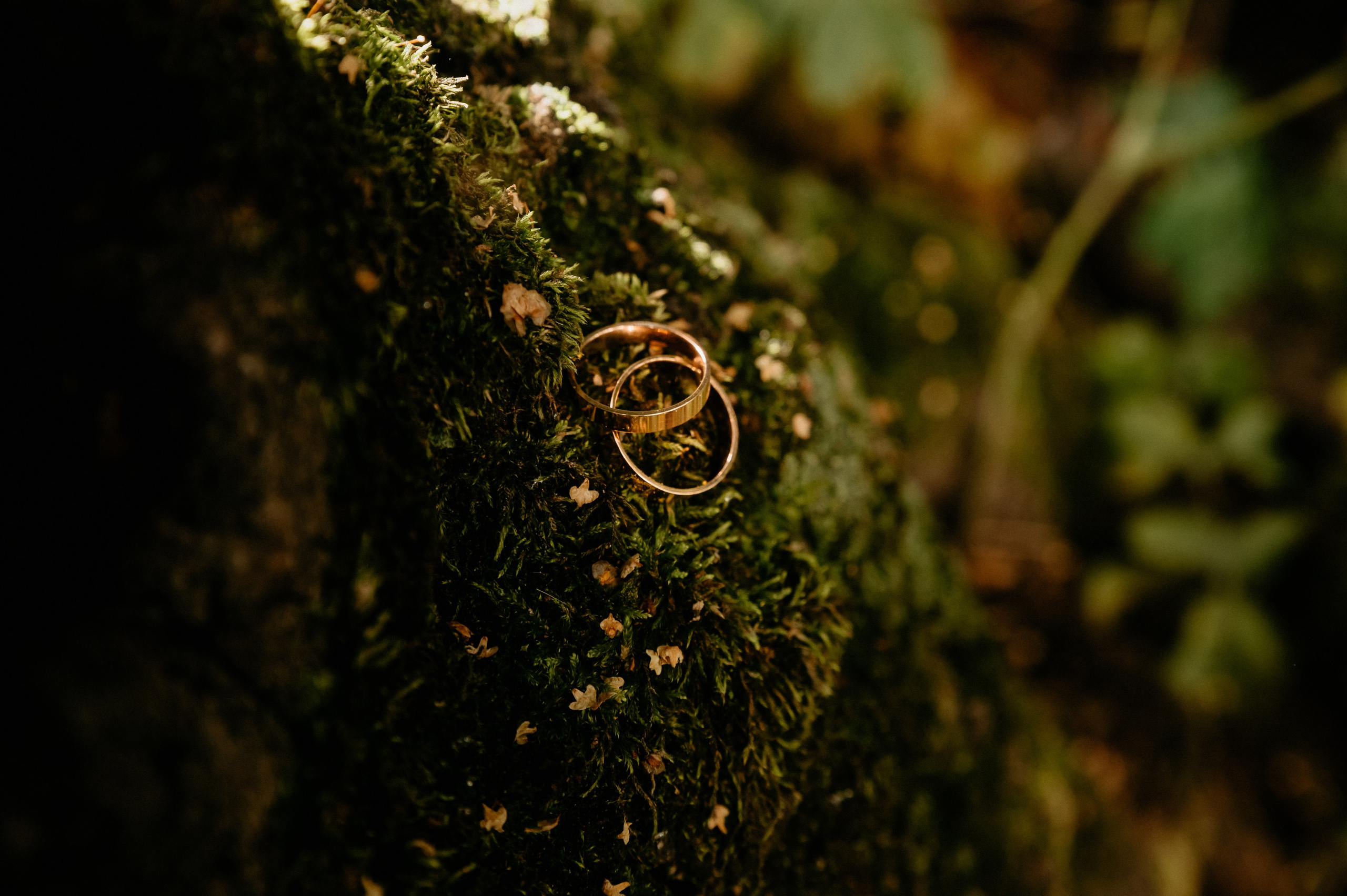 Юля та Андрій. Фотограф Руслан Будім