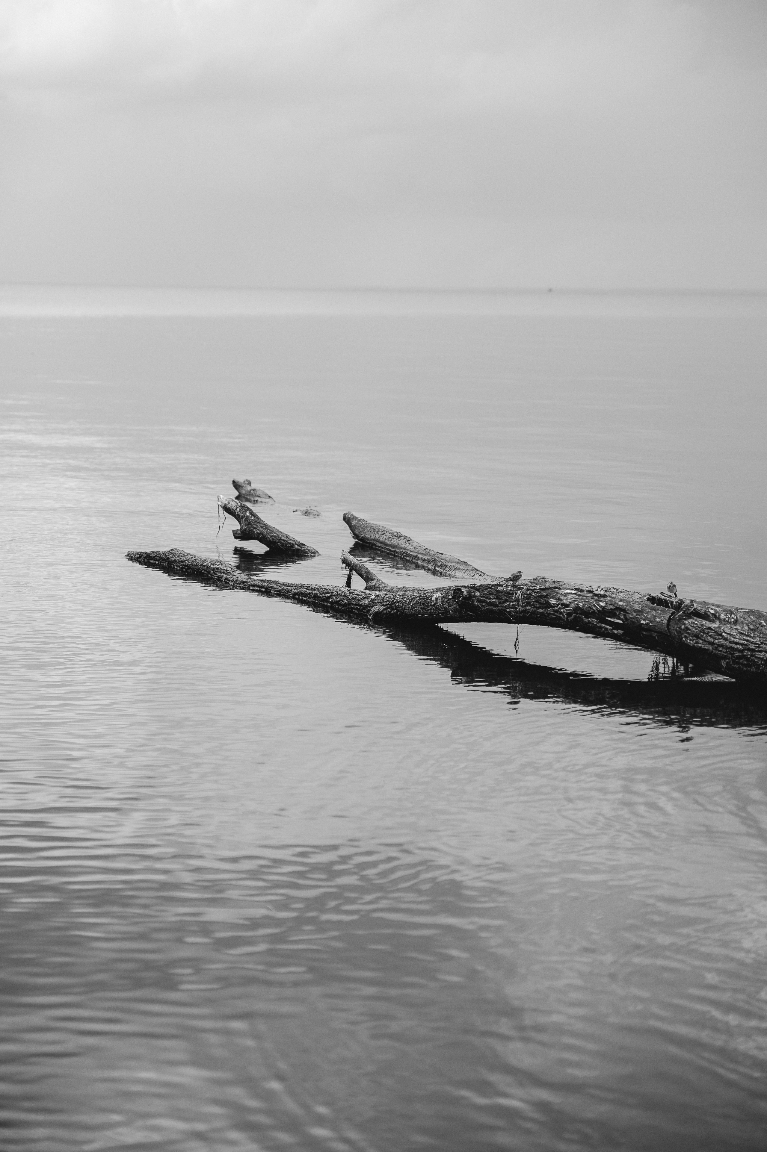 Юля&Макс. Фотограф Руслан Будім