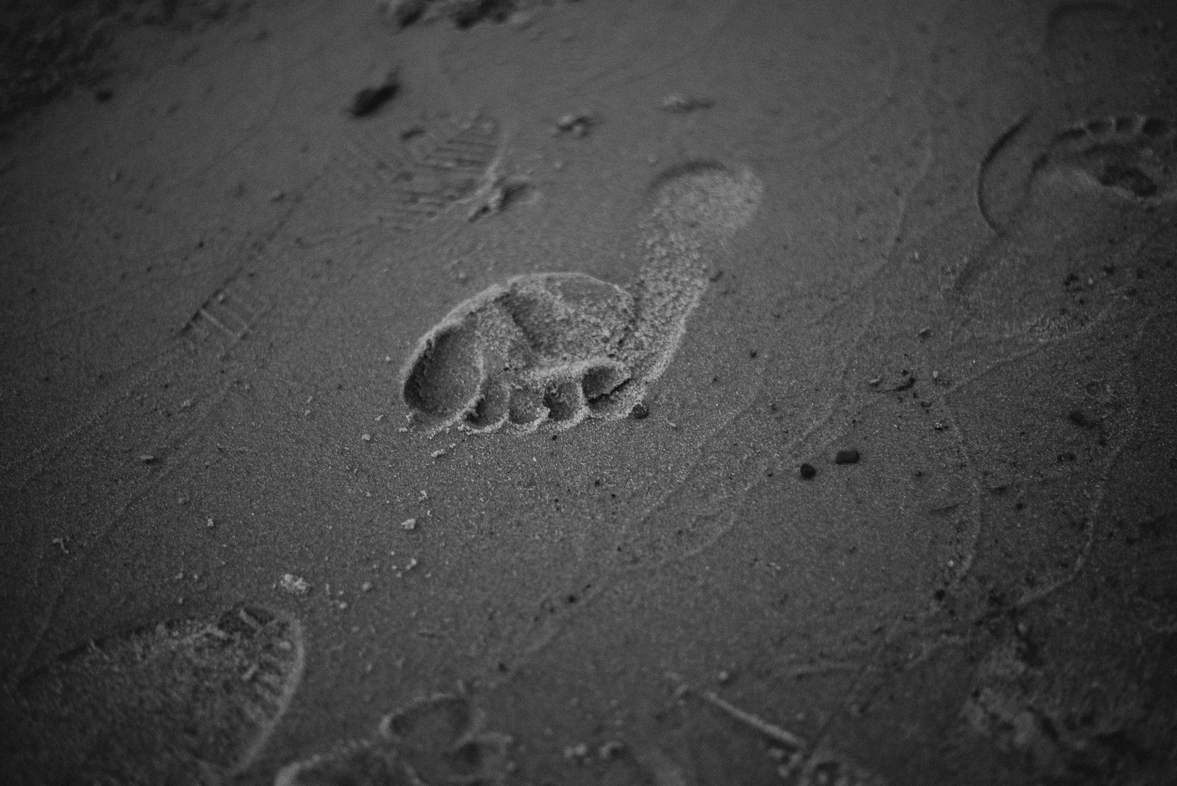 Ilona&Peter. Фотограф Руслан Будім