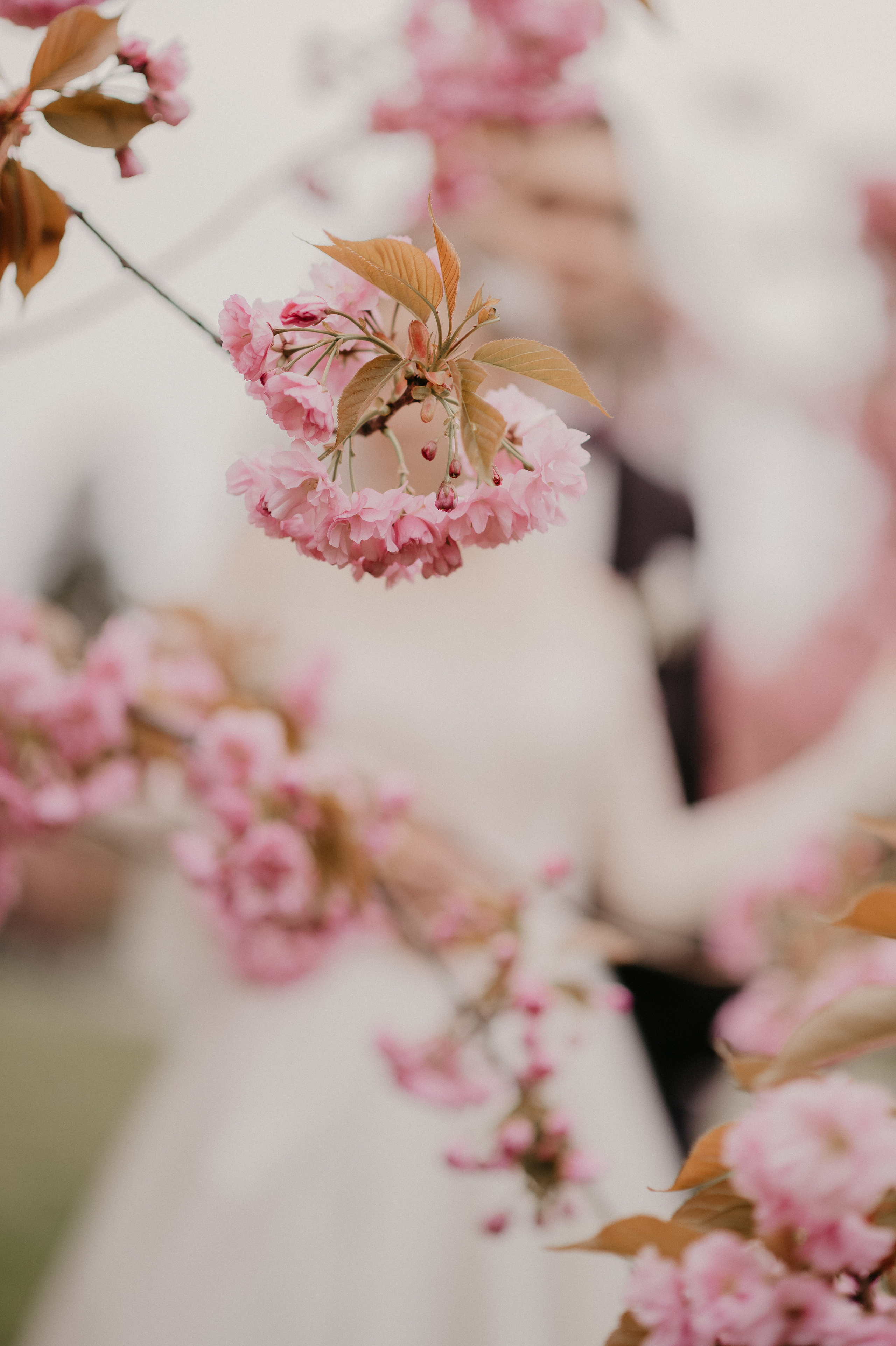 Dana&Rostik. Фотограф Руслан Будім