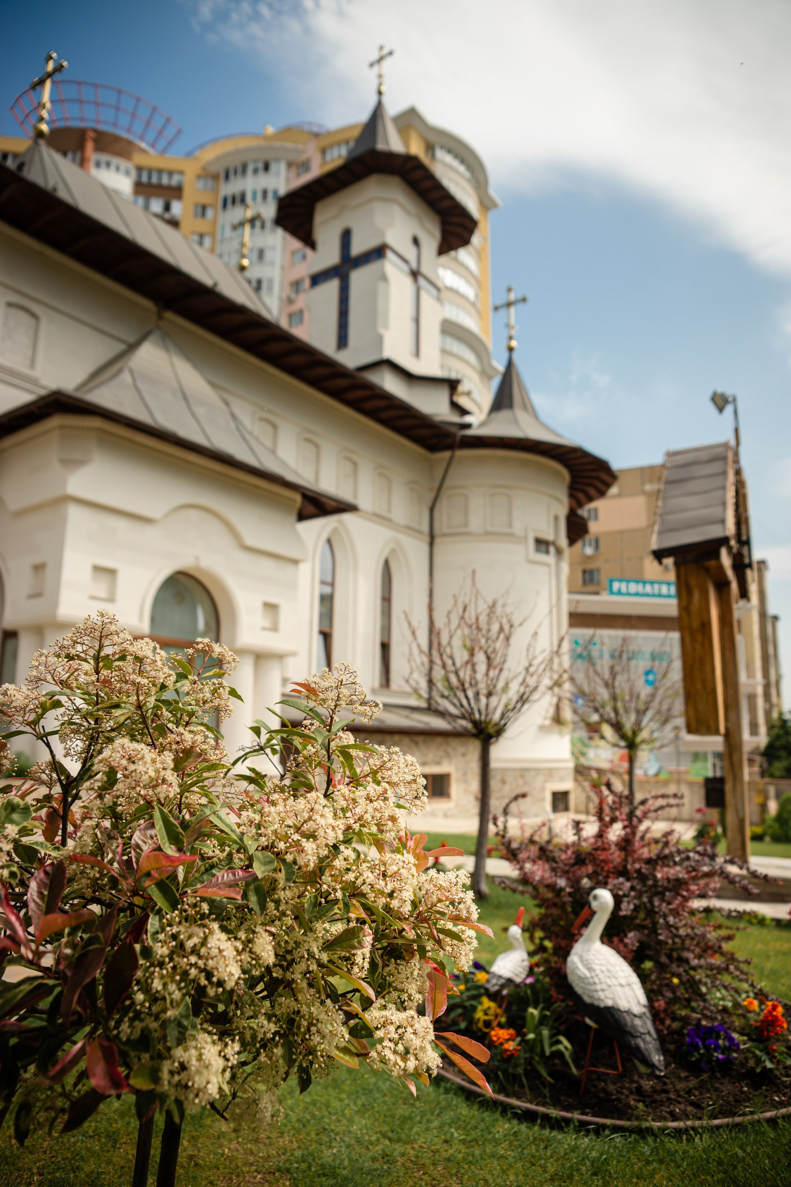 Лучиан. ФОТОГРАФ КИШИНЁВ.ПОРТРЕТ.ИНДИВИДУАЛЬНАЯ ФОТОСЕССИЯ.БИЗНЕС ПОРТРЕТ.СЕМЕЙНАЯ ФОТОСЕССИЯ.БЕРЕМЕННОСТЬ.КРЕЩЕНИЕ.МОЛДОВА, КИШИНЁВ