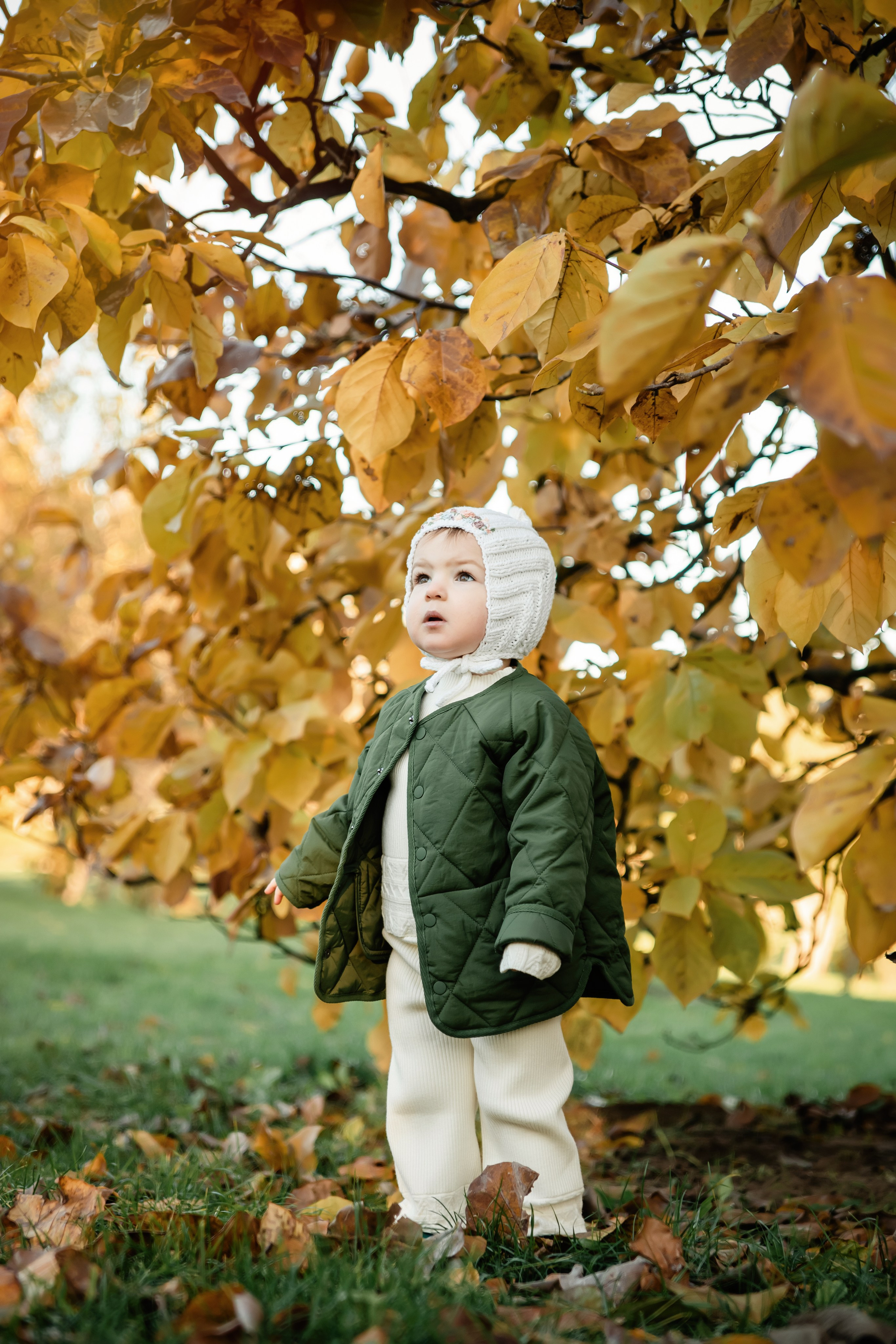 Осенняя прогулка. ФОТОГРАФ КИШИНЁВ.ПОРТРЕТ.ИНДИВИДУАЛЬНАЯ ФОТОСЕССИЯ.БИЗНЕС ПОРТРЕТ.СЕМЕЙНАЯ ФОТОСЕССИЯ.БЕРЕМЕННОСТЬ.КРЕЩЕНИЕ.МОЛДОВА, КИШИНЁВ